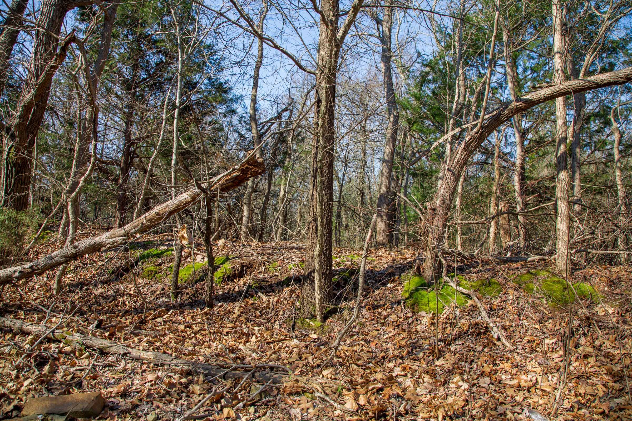 Eufaula Cove Tract 17 photo 12