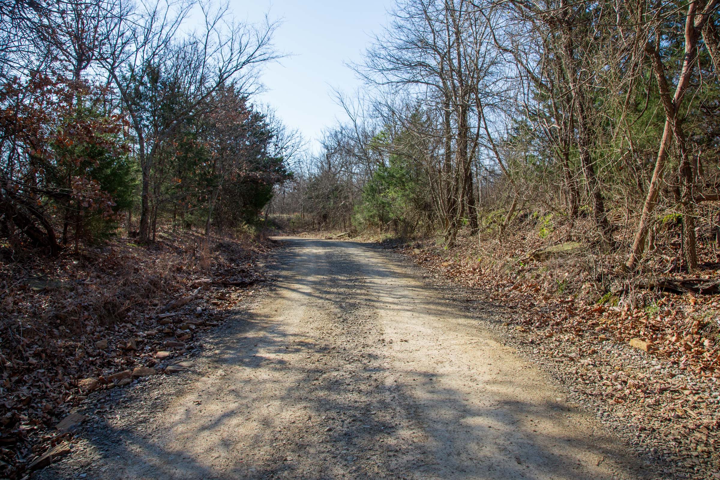 Eufaula Cove Tract 17 photo 13