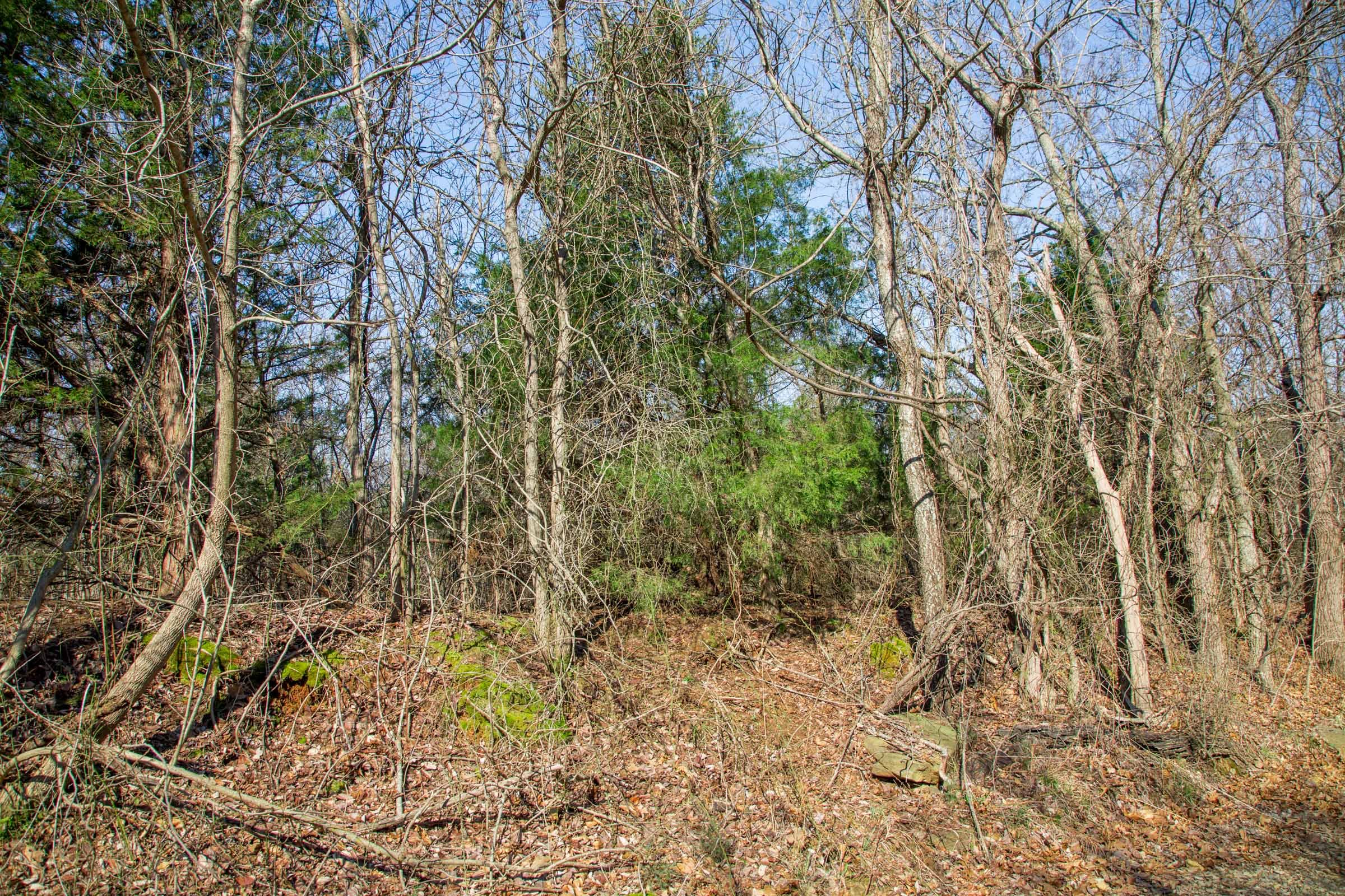 Eufaula Cove Tract 17 photo 15