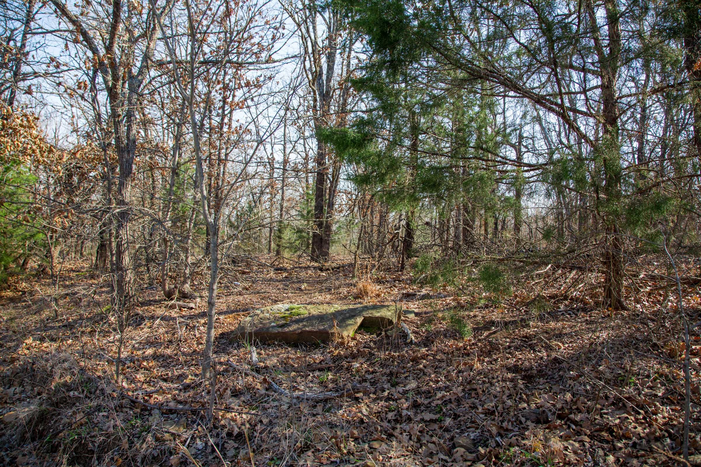 Eufaula Cove Tract 17 photo 17