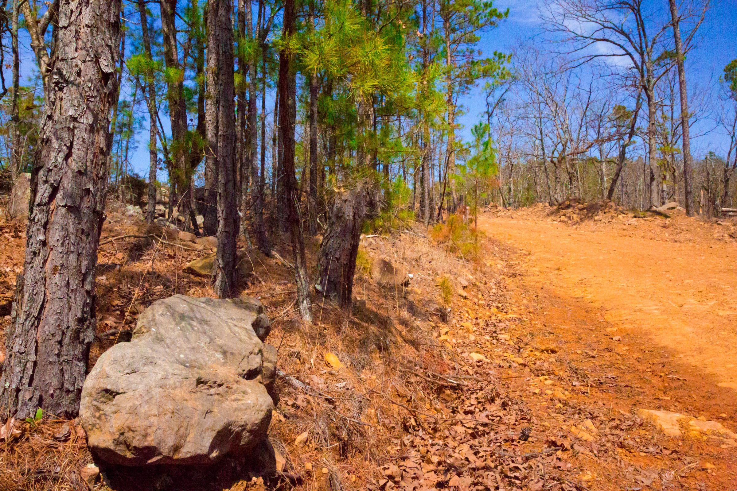 Stone Creek Phase II Tract 140 photo 4