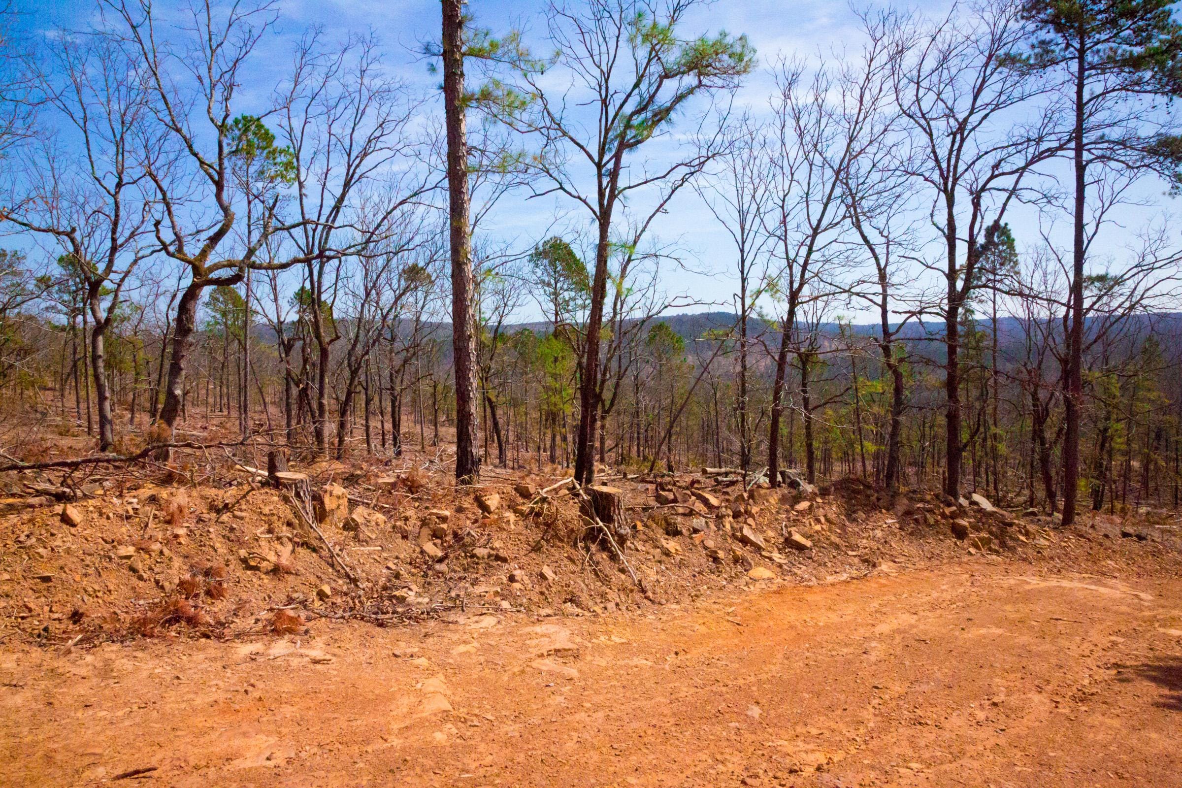 Stone Creek Phase II Tract 140 photo 6