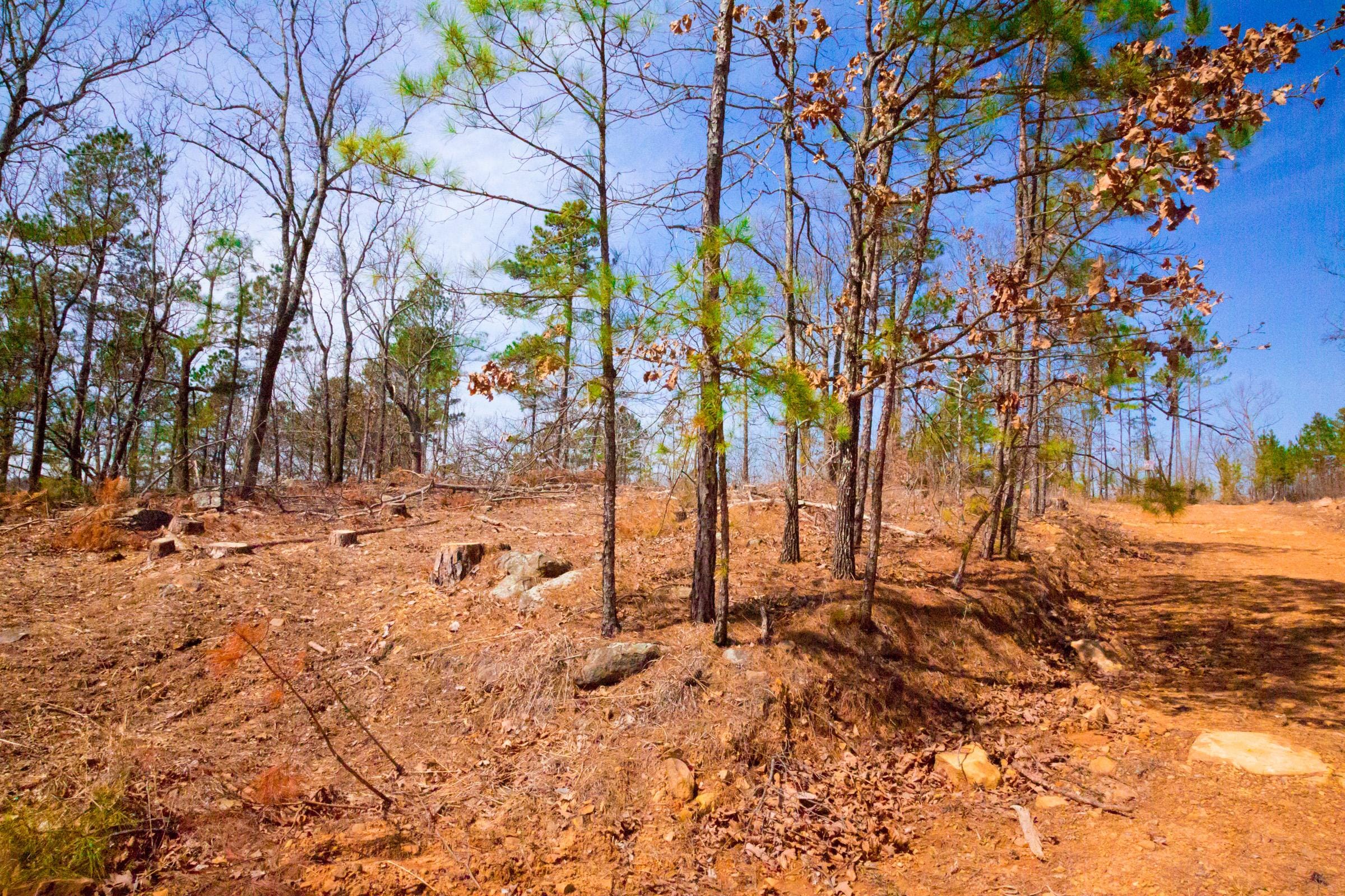 Stone Creek Phase II Tract 140 photo 7
