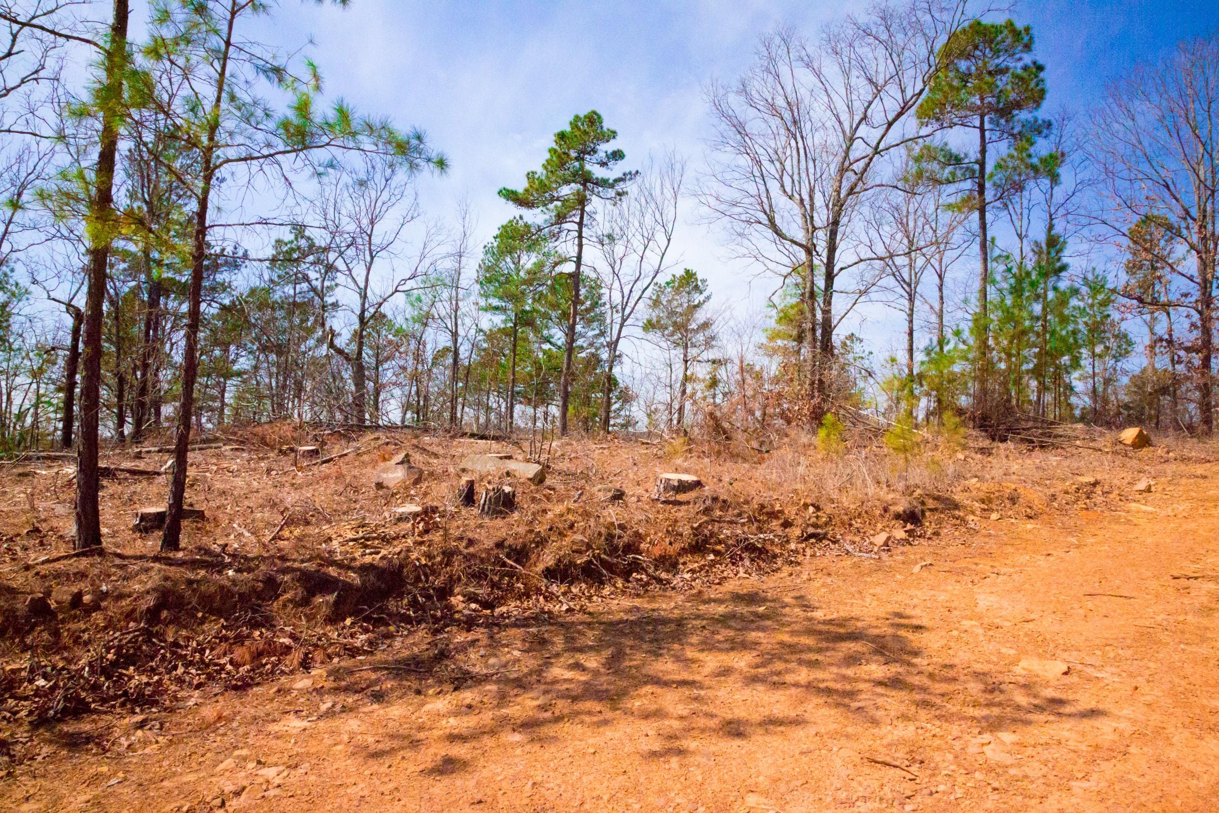 Stone Creek Phase II Tract 140 photo 8