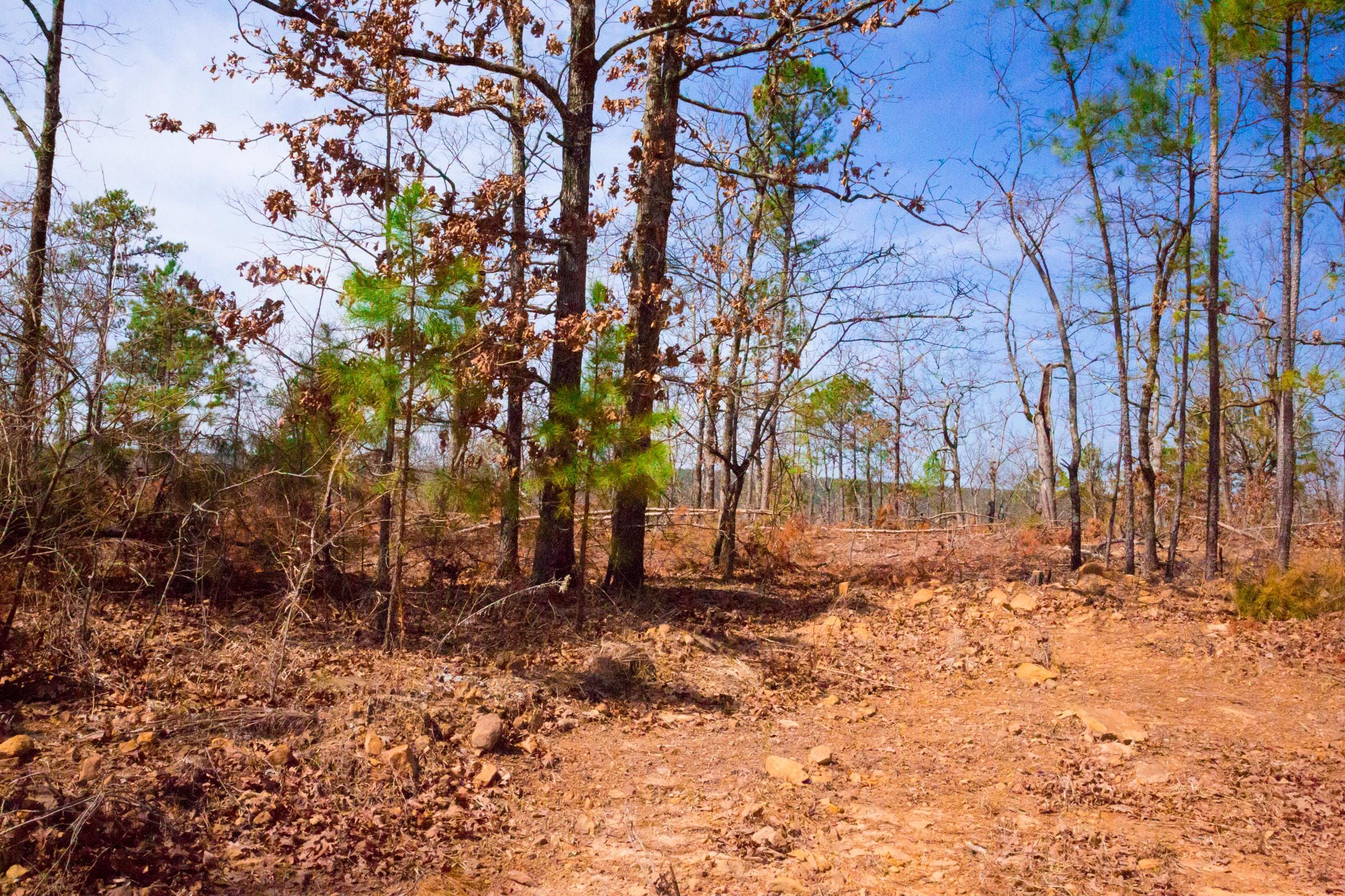 Stone Creek Phase II Tract 140 photo 10