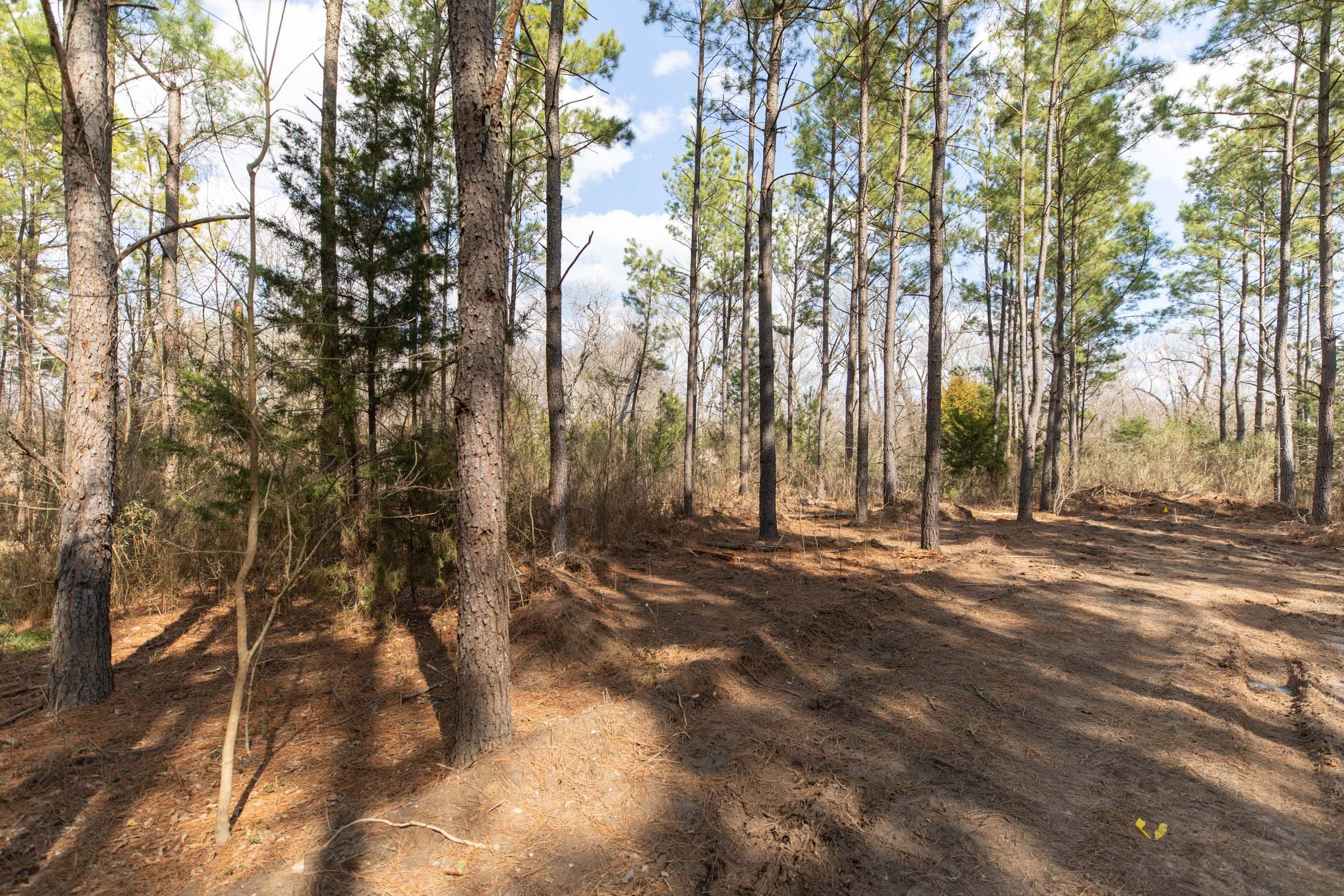 Wishing Star Ranch Tract 48 photo 1