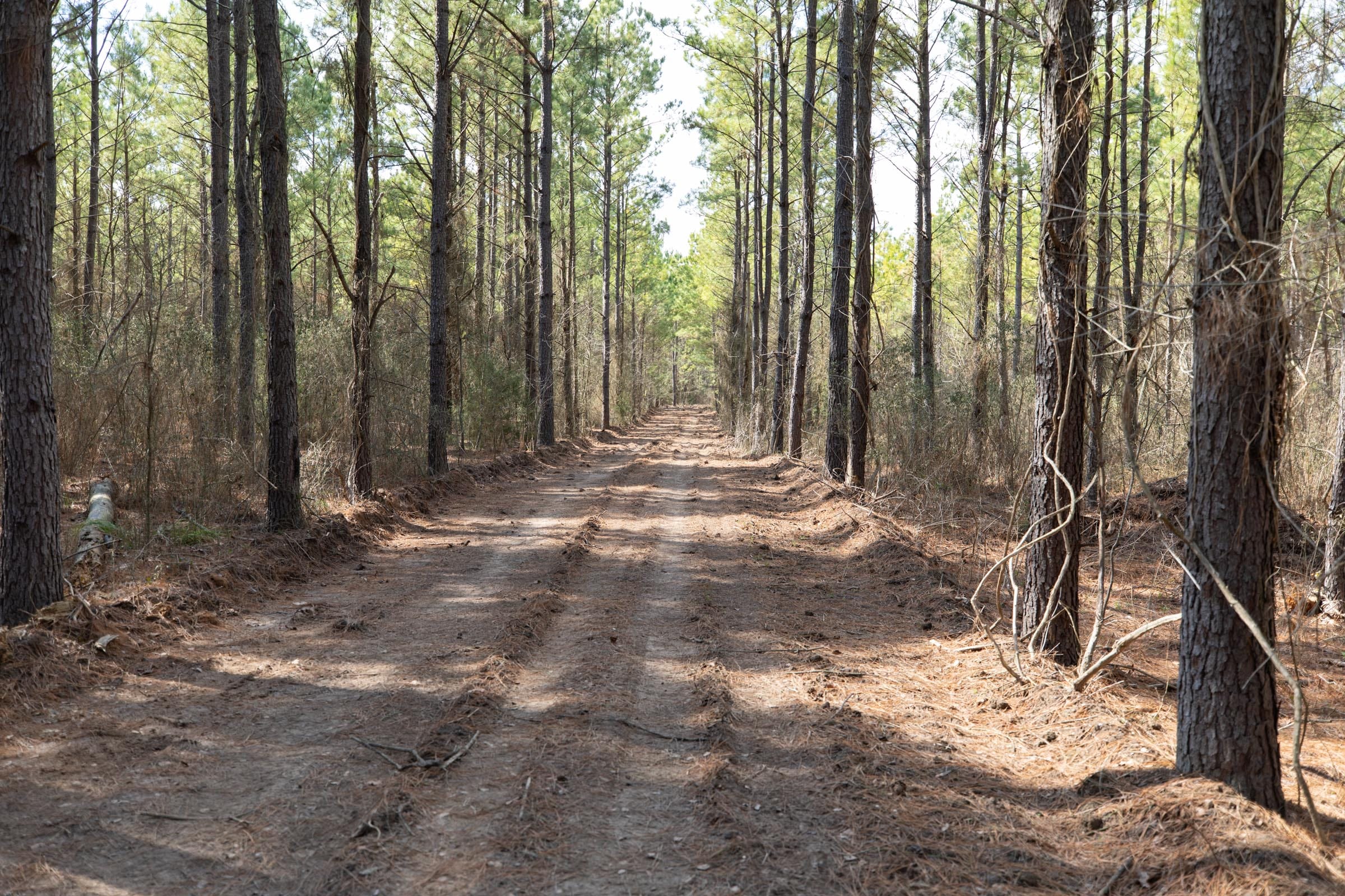 Wishing Star Ranch Tract 48 photo 5