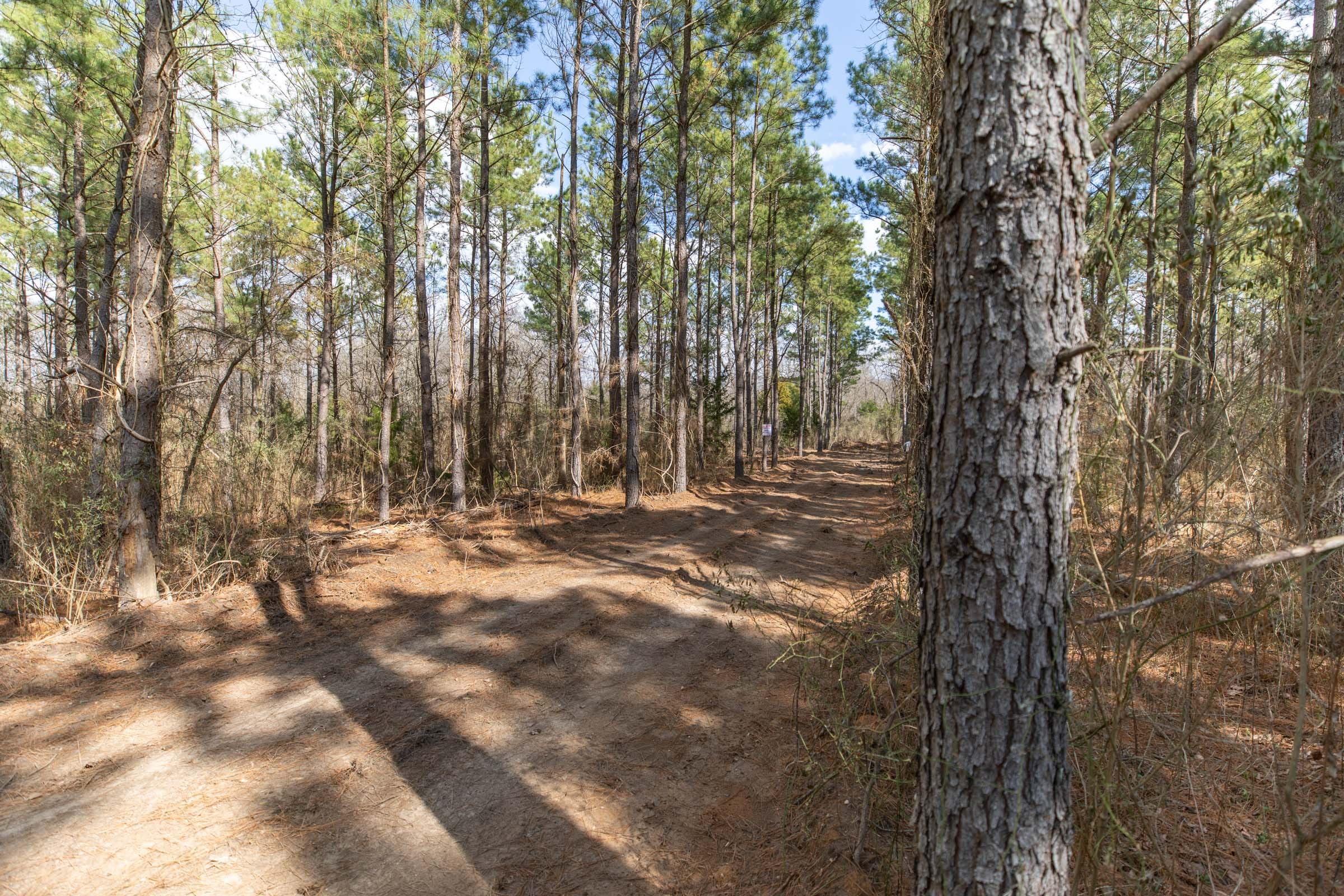 Wishing Star Ranch Tract 48 photo 12