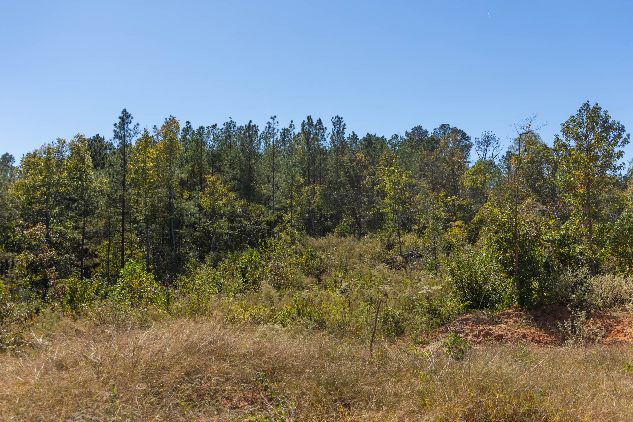 Meyer’s Ridge Tract 3 photo 14
