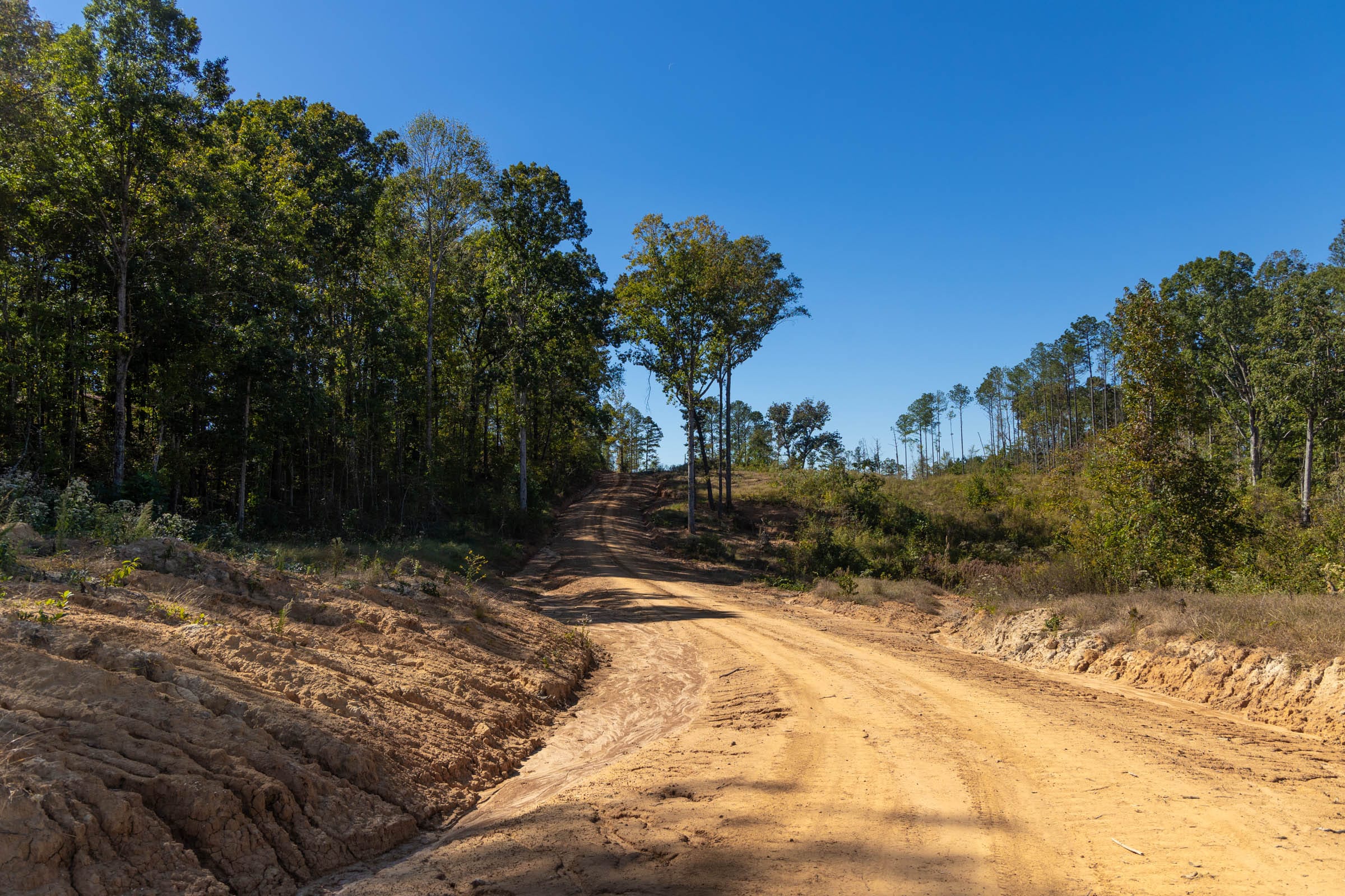 Meyer’s Ridge Tract 3 photo 3