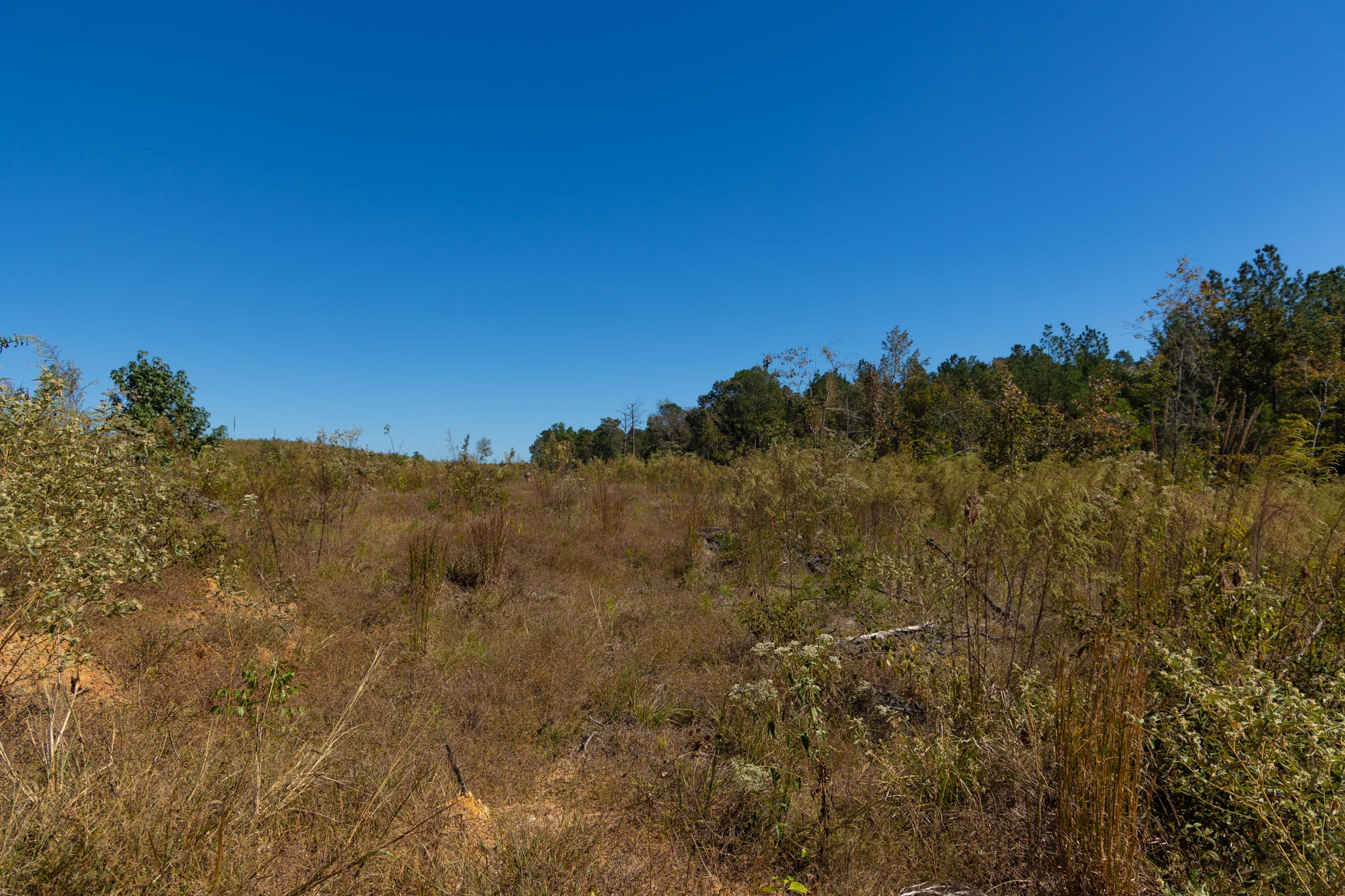 Meyer’s Ridge Tract 3 photo 12