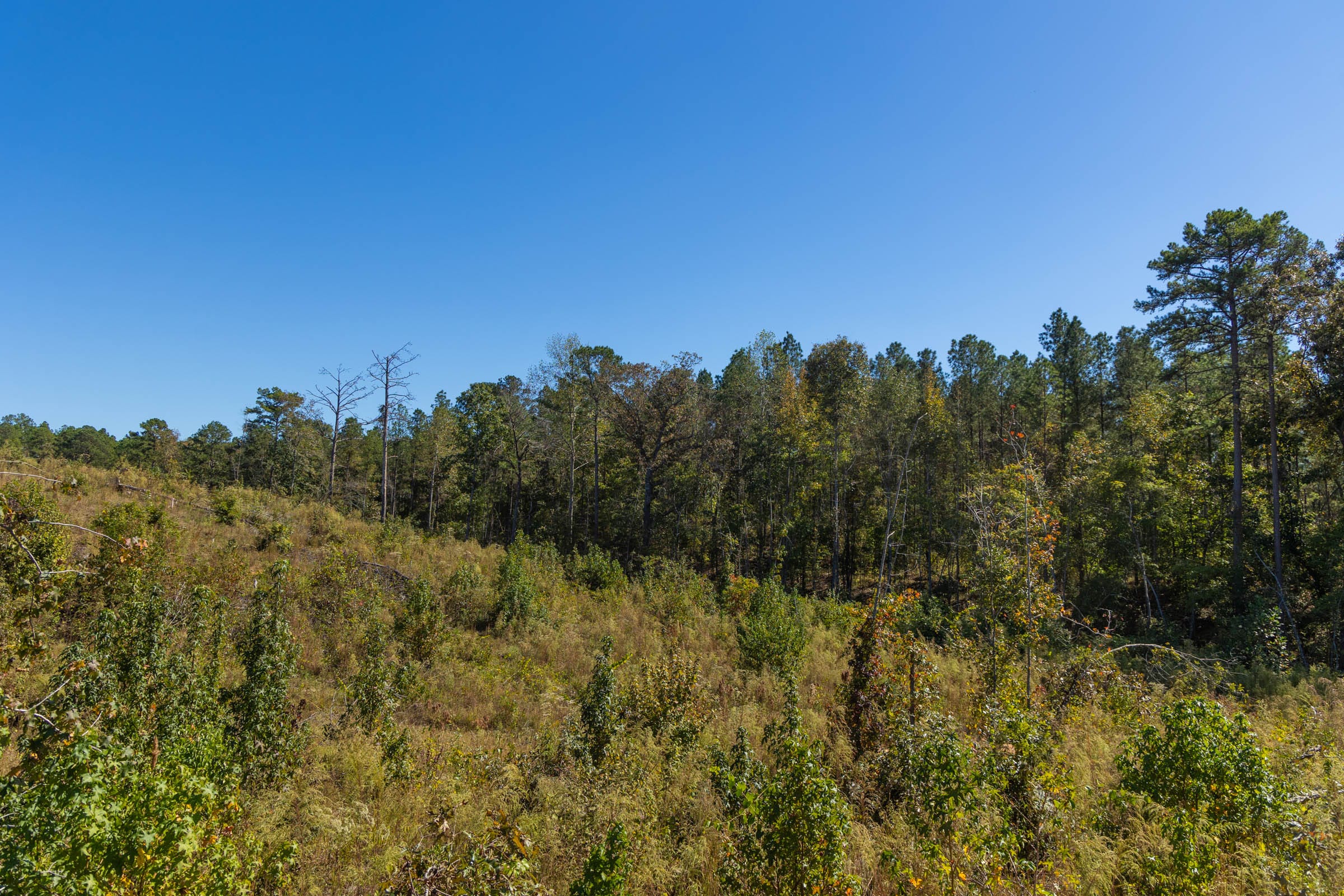 Meyer’s Ridge Tract 3 photo 11