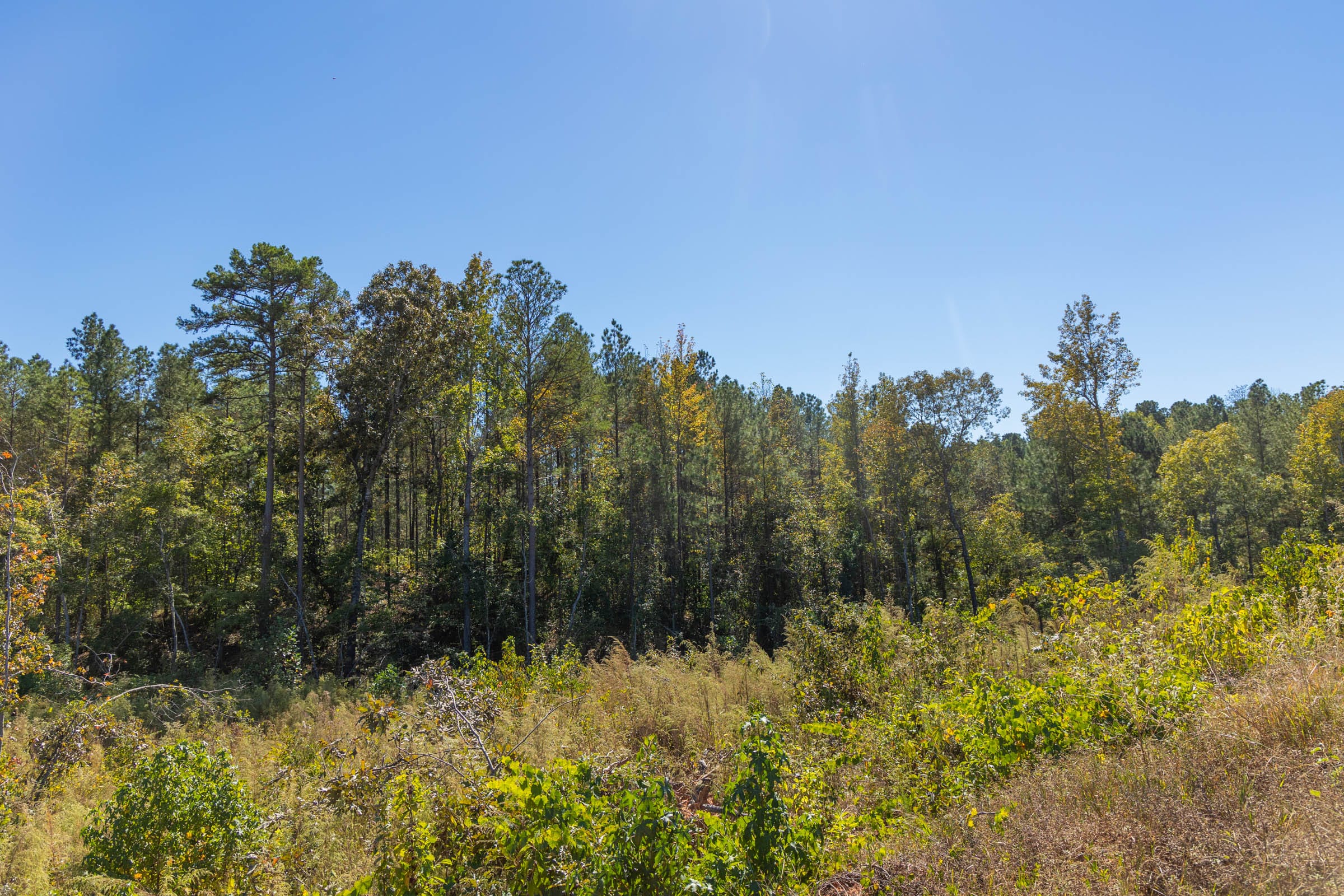 Meyer’s Ridge Tract 3 photo 10