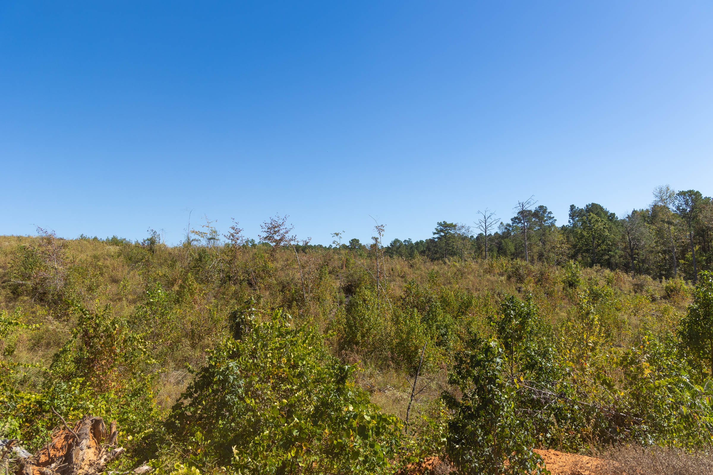 Meyer’s Ridge Tract 3 photo 9