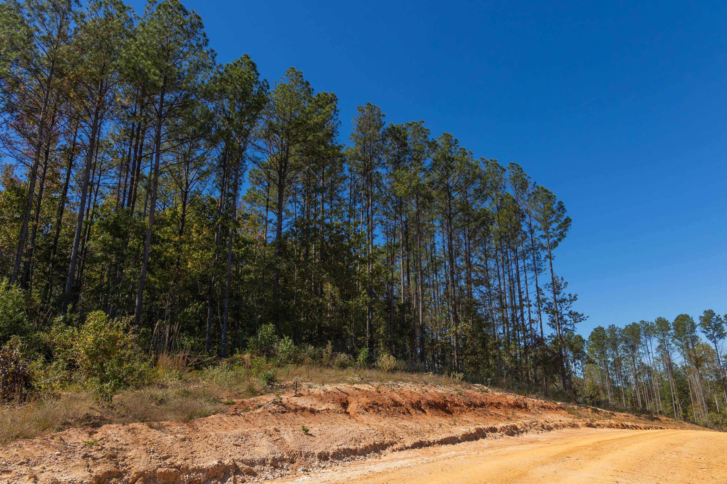 Meyer’s Ridge Tract 3 photo 8