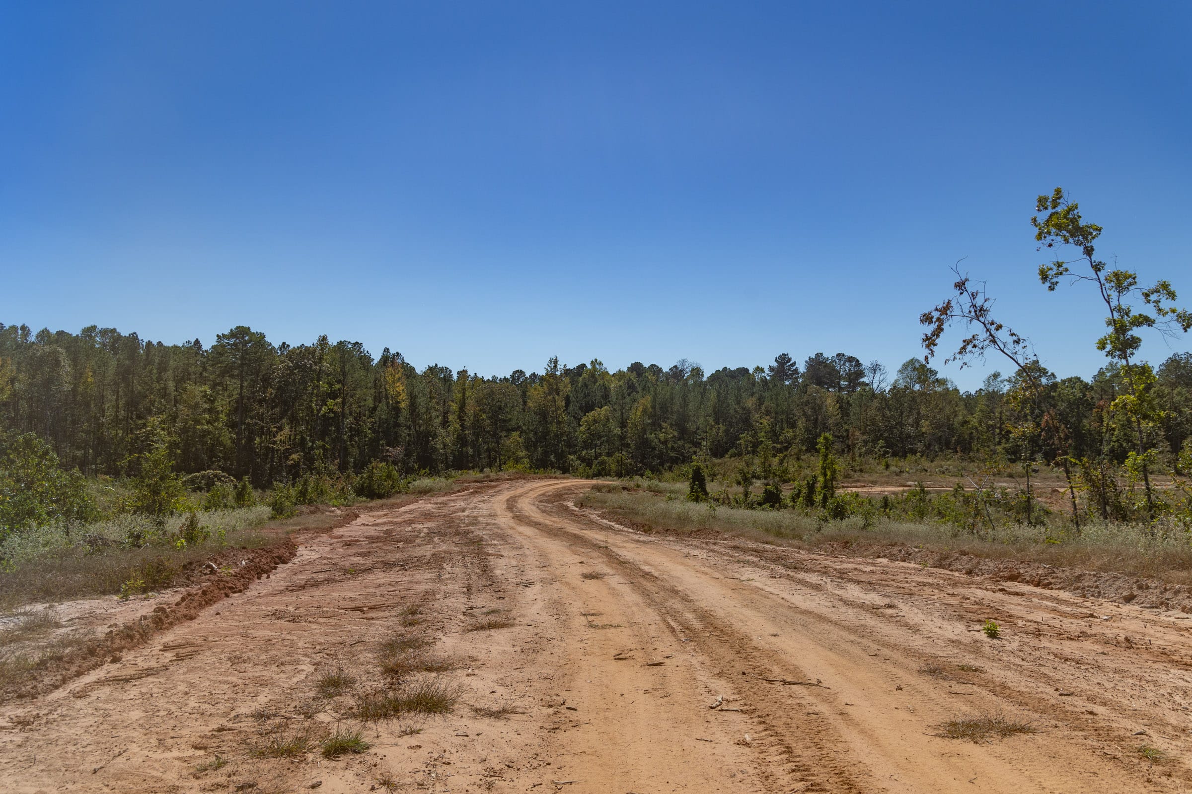 Meyer’s Ridge Tract 3 photo 5