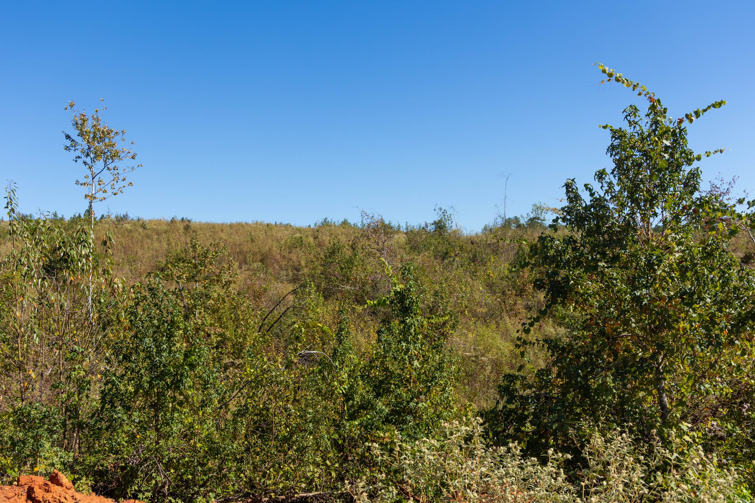 Meyer’s Ridge Tract 3 photo 4