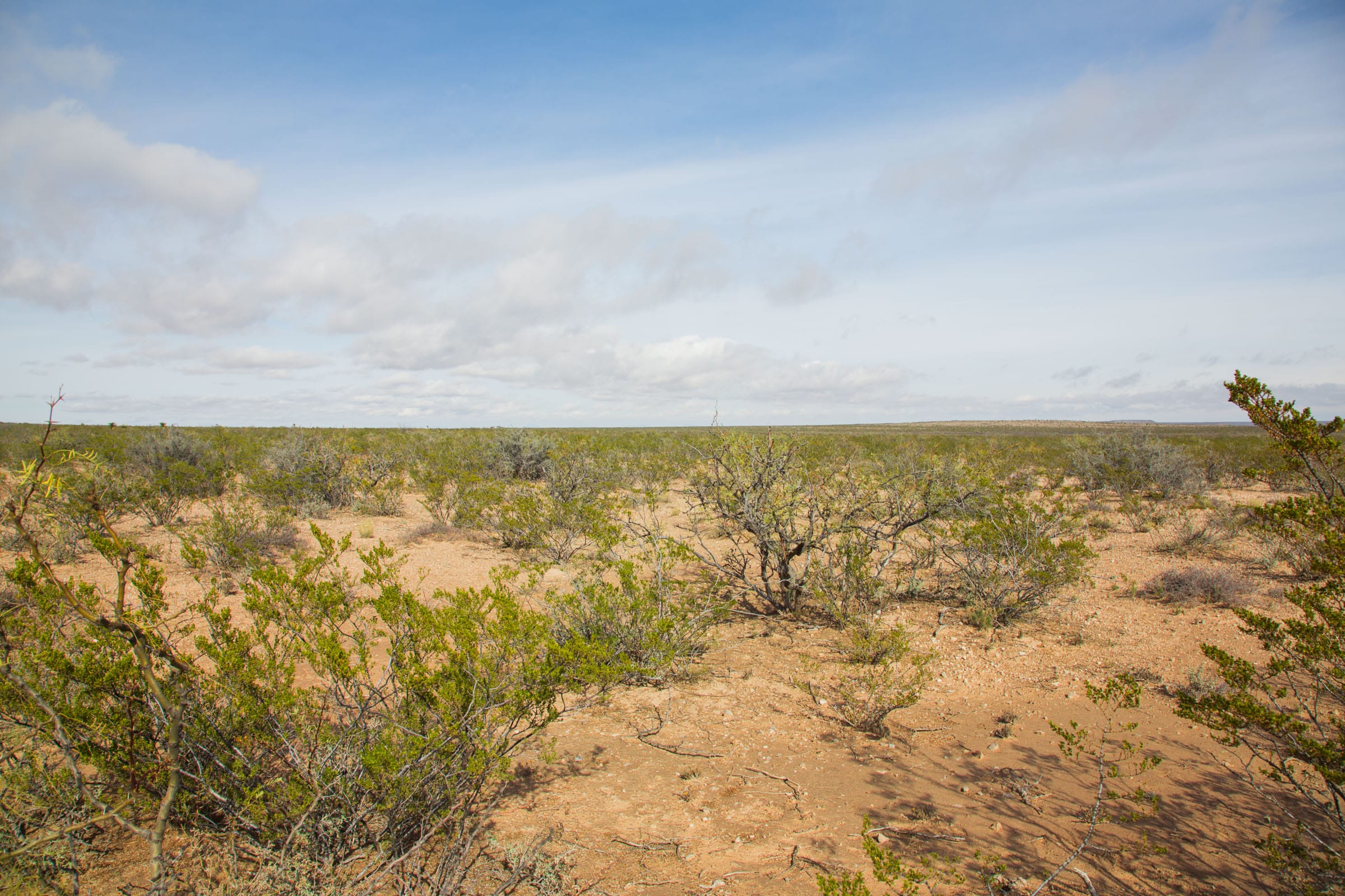 Sunset Ranches Tract 28 photo 10