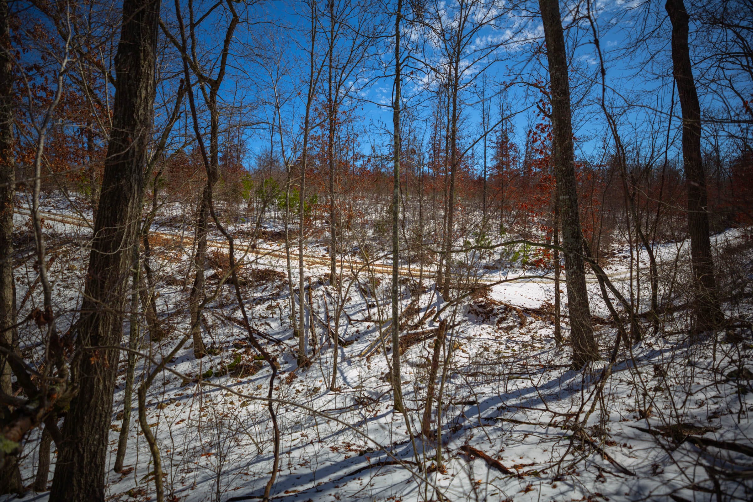 Sleepy Hollow Phase I Tract 34 photo 31