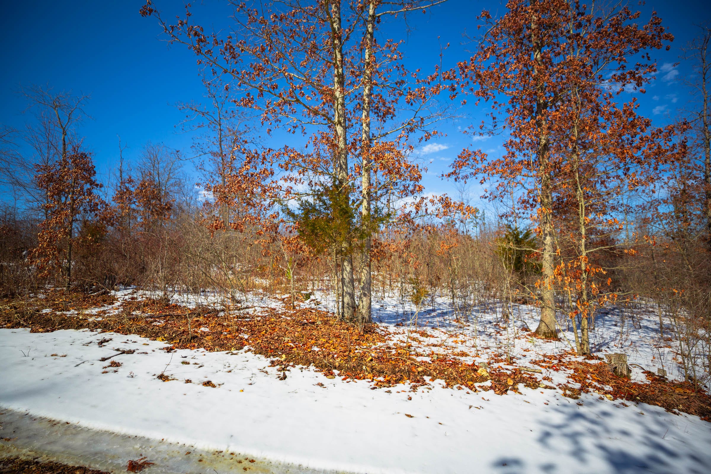 Sleepy Hollow Phase I Tract 34 photo 30
