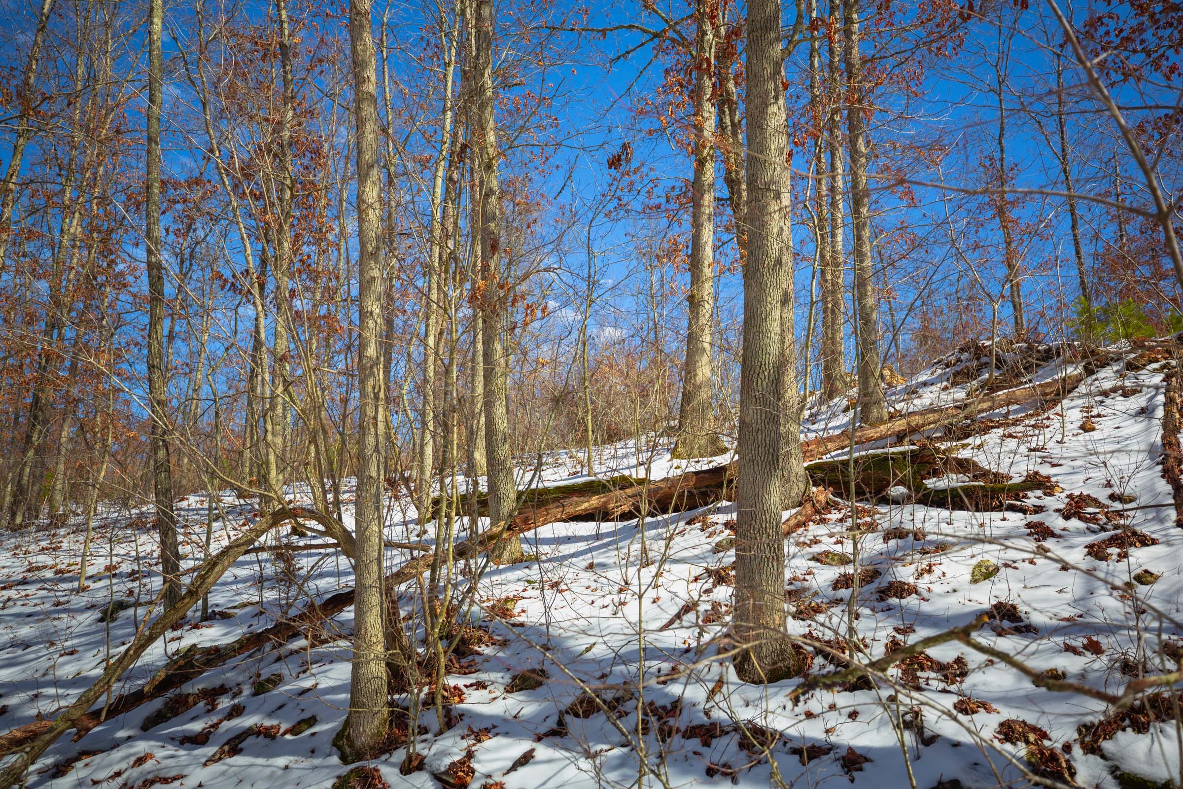 Sleepy Hollow Phase I Tract 34 photo 29