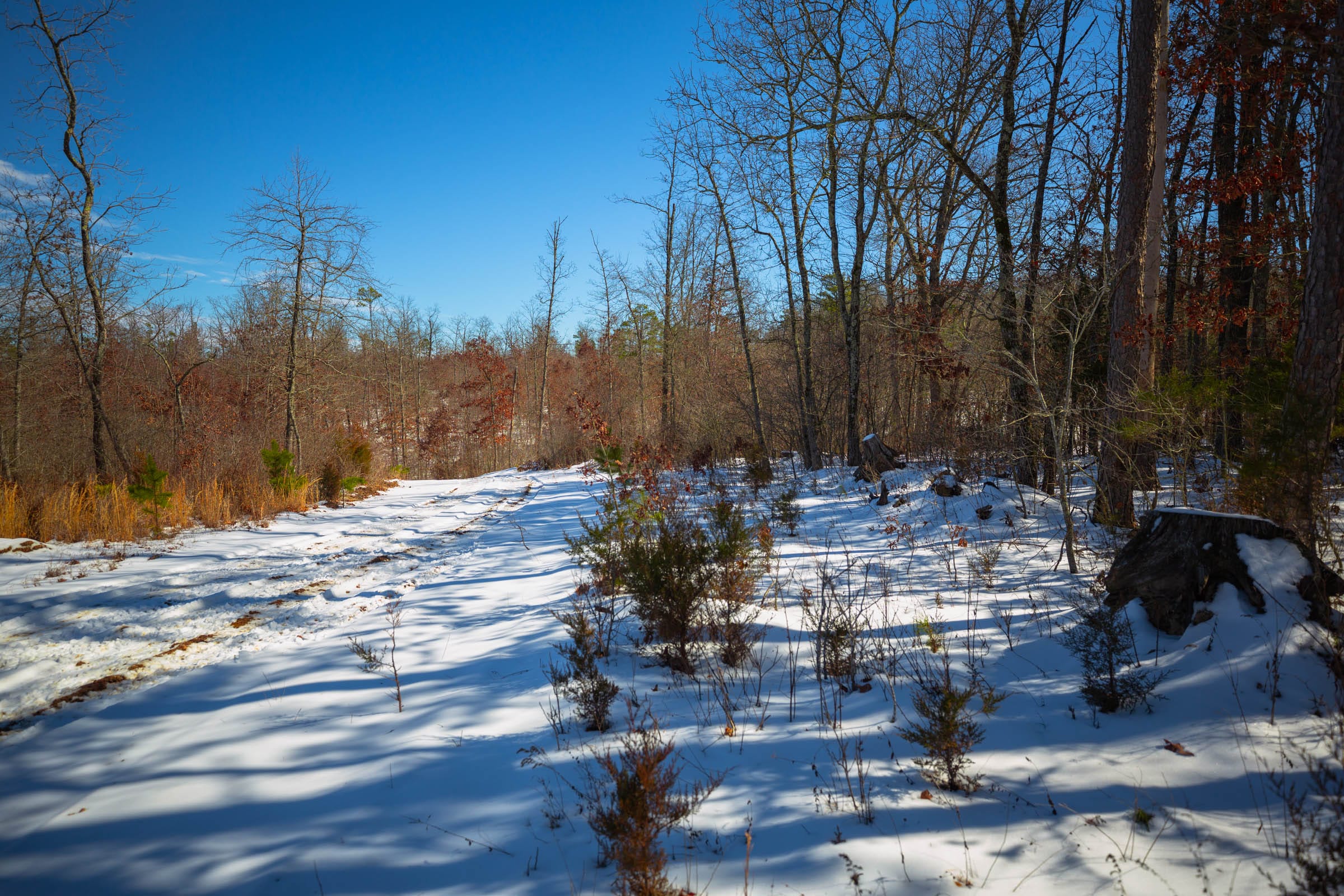 Sleepy Hollow Phase I Tract 34 photo 22