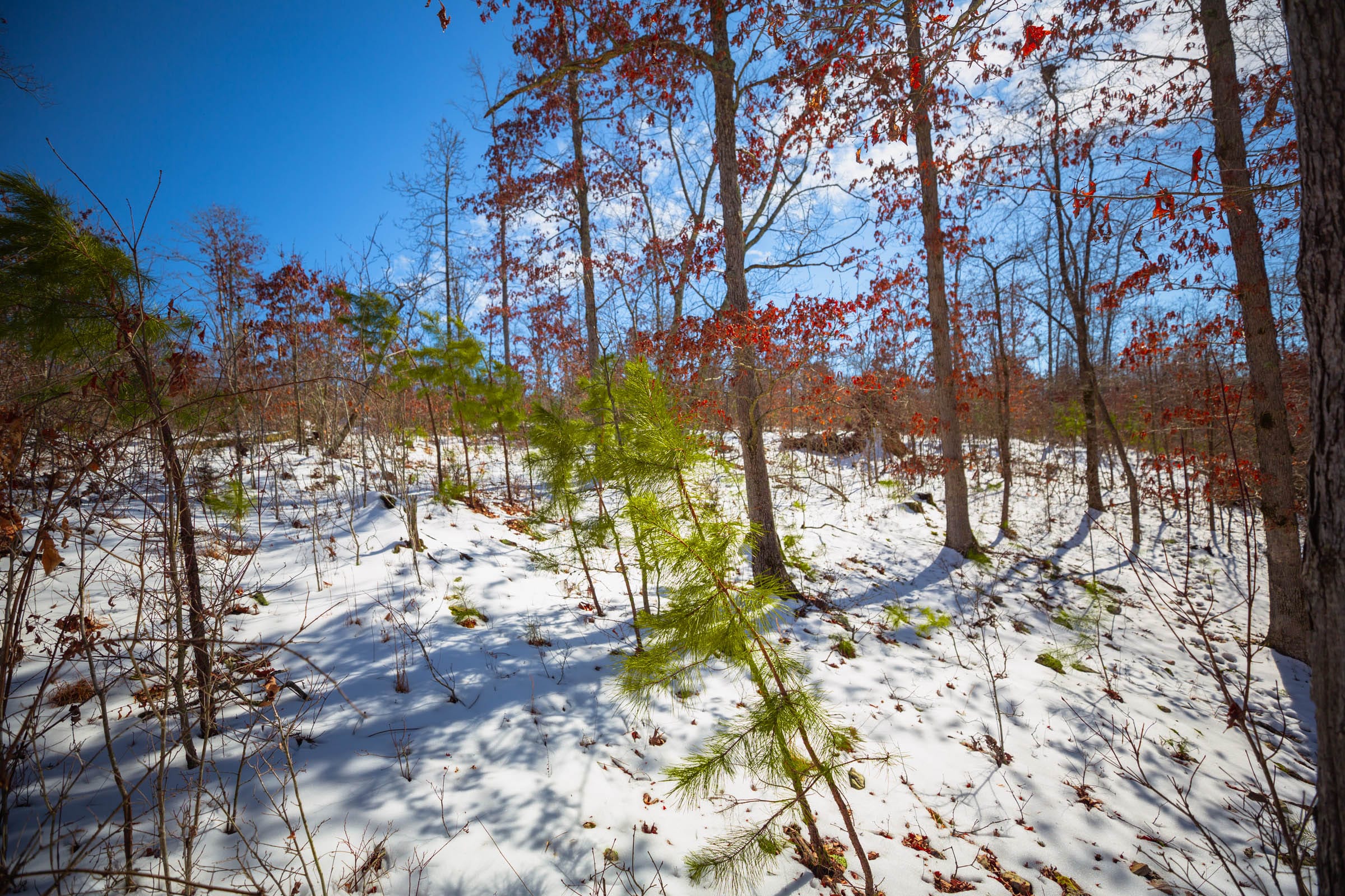 Sleepy Hollow Phase I Tract 34 photo 19
