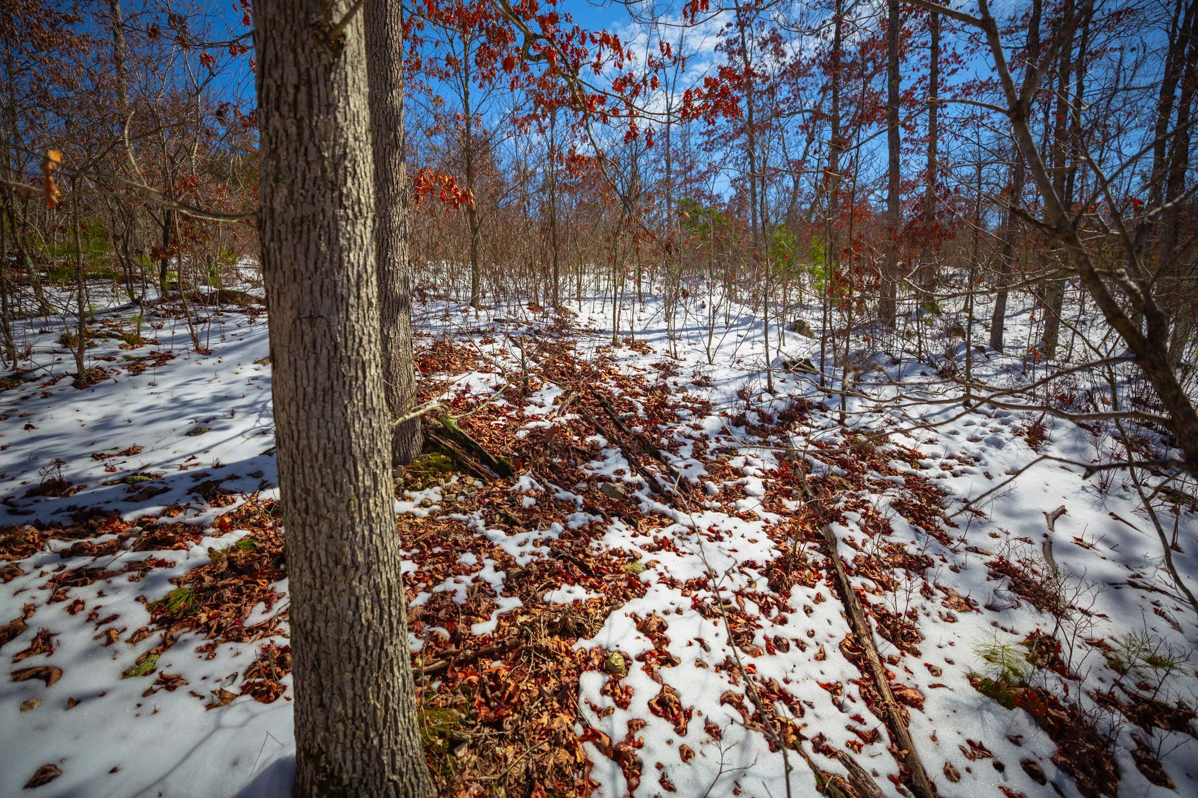 Sleepy Hollow Phase I Tract 34 photo 18