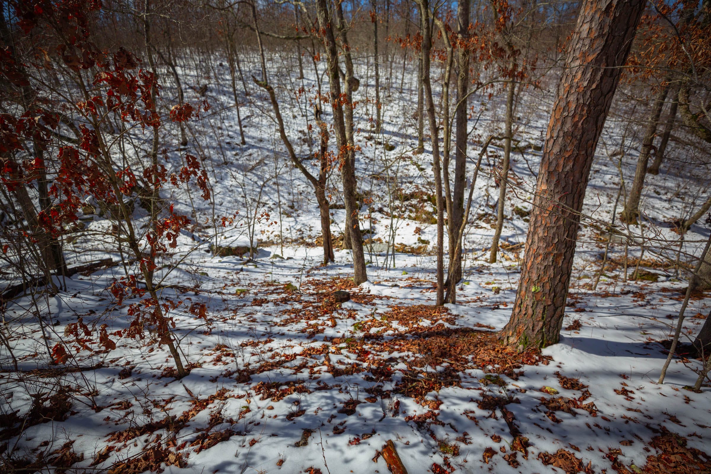 Sleepy Hollow Phase I Tract 34 photo 17
