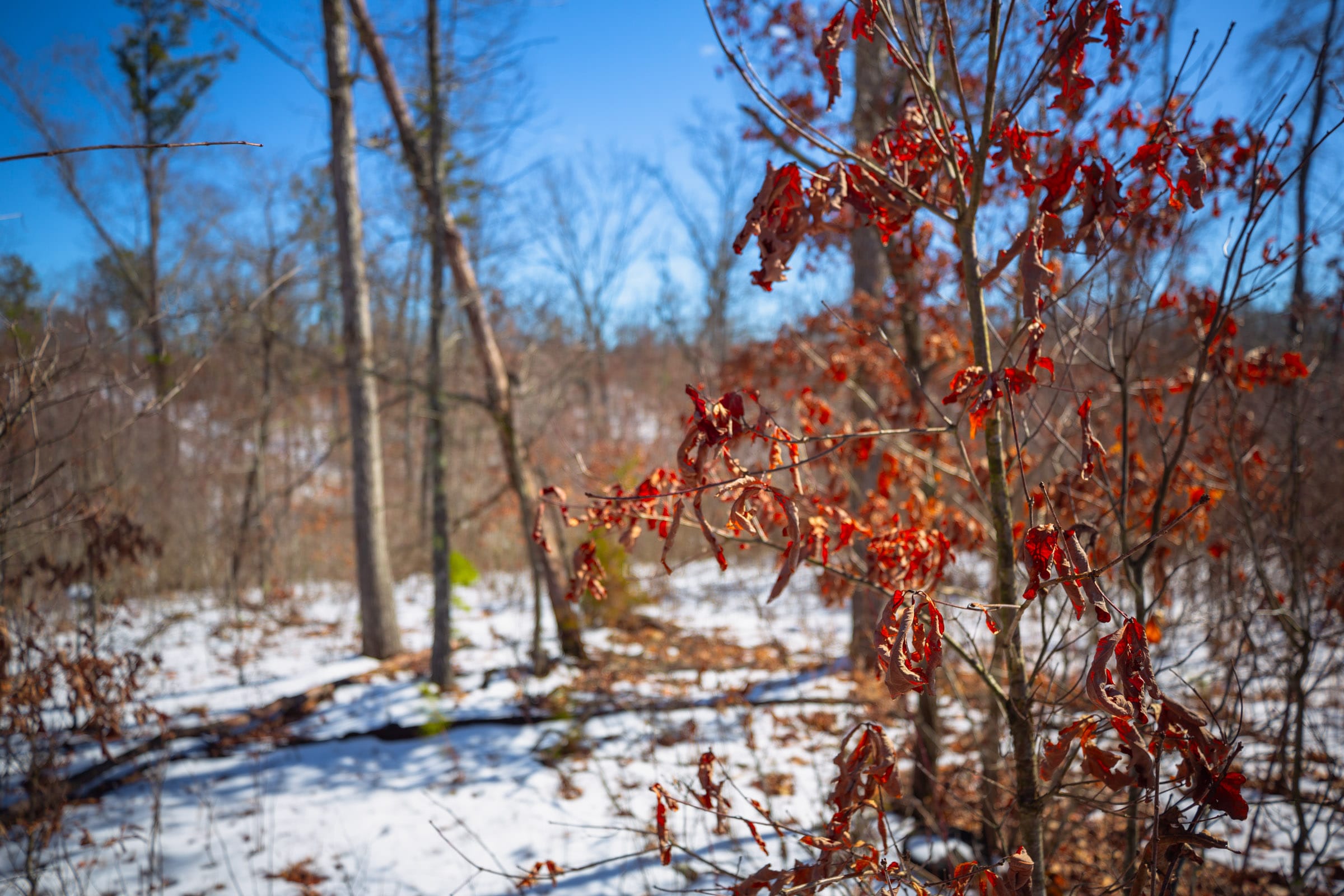 Sleepy Hollow Phase I Tract 34 photo 16
