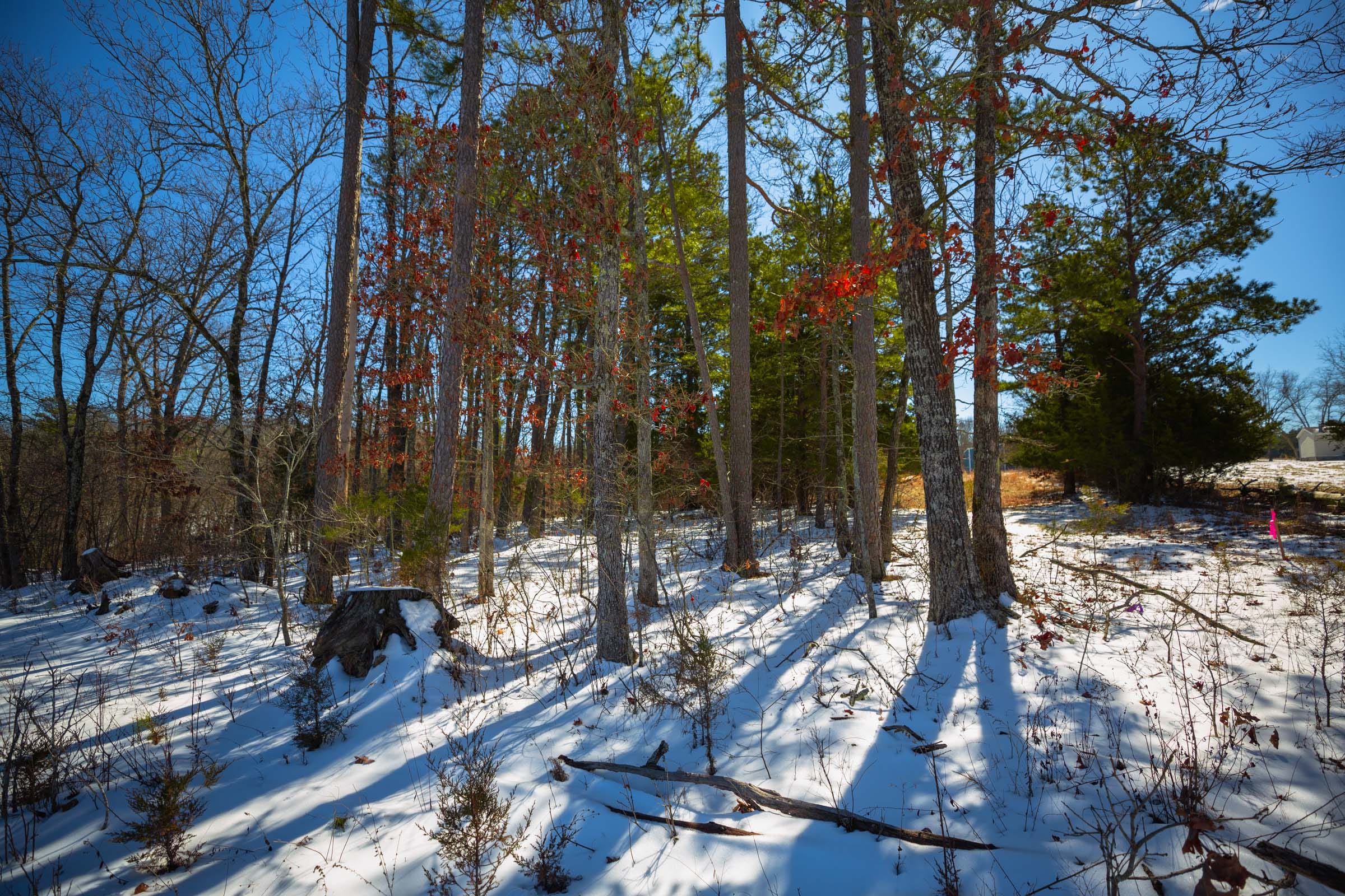 Sleepy Hollow Phase I Tract 34 photo 15