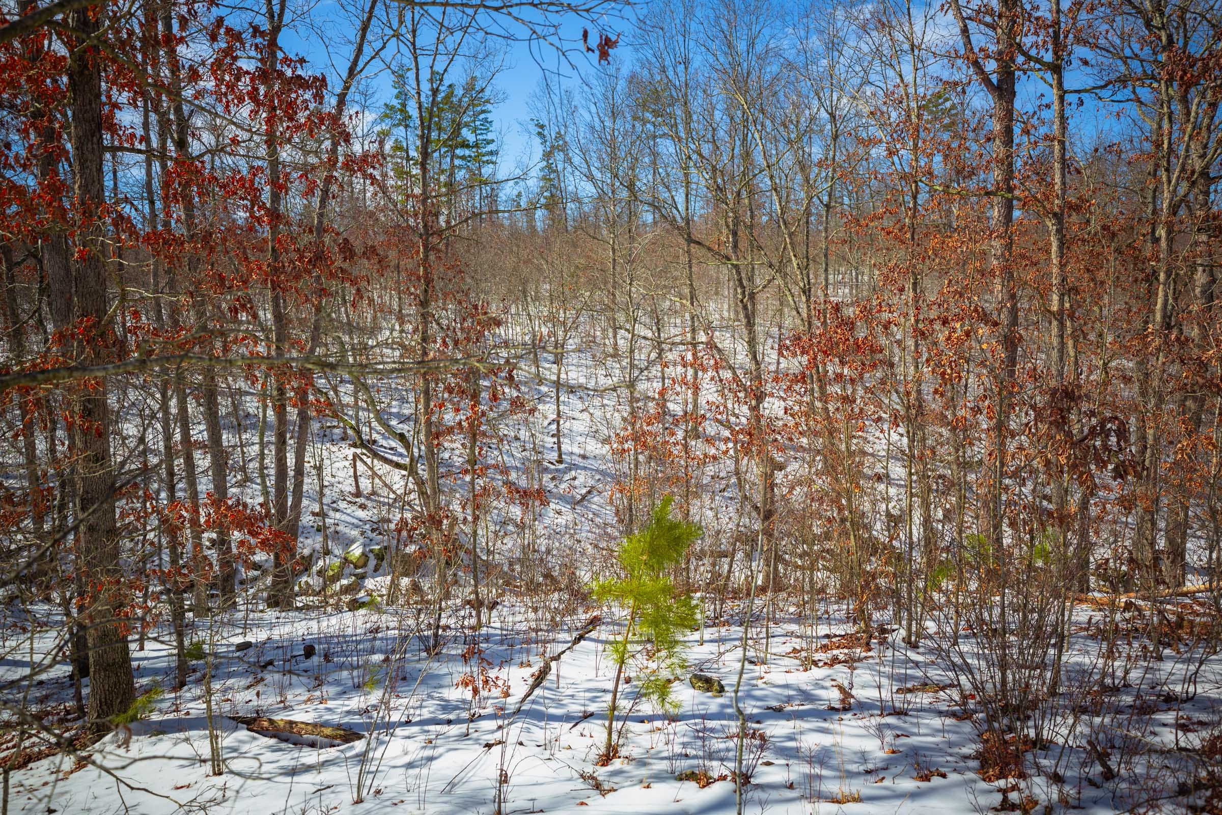 Sleepy Hollow Phase I Tract 34 photo 14