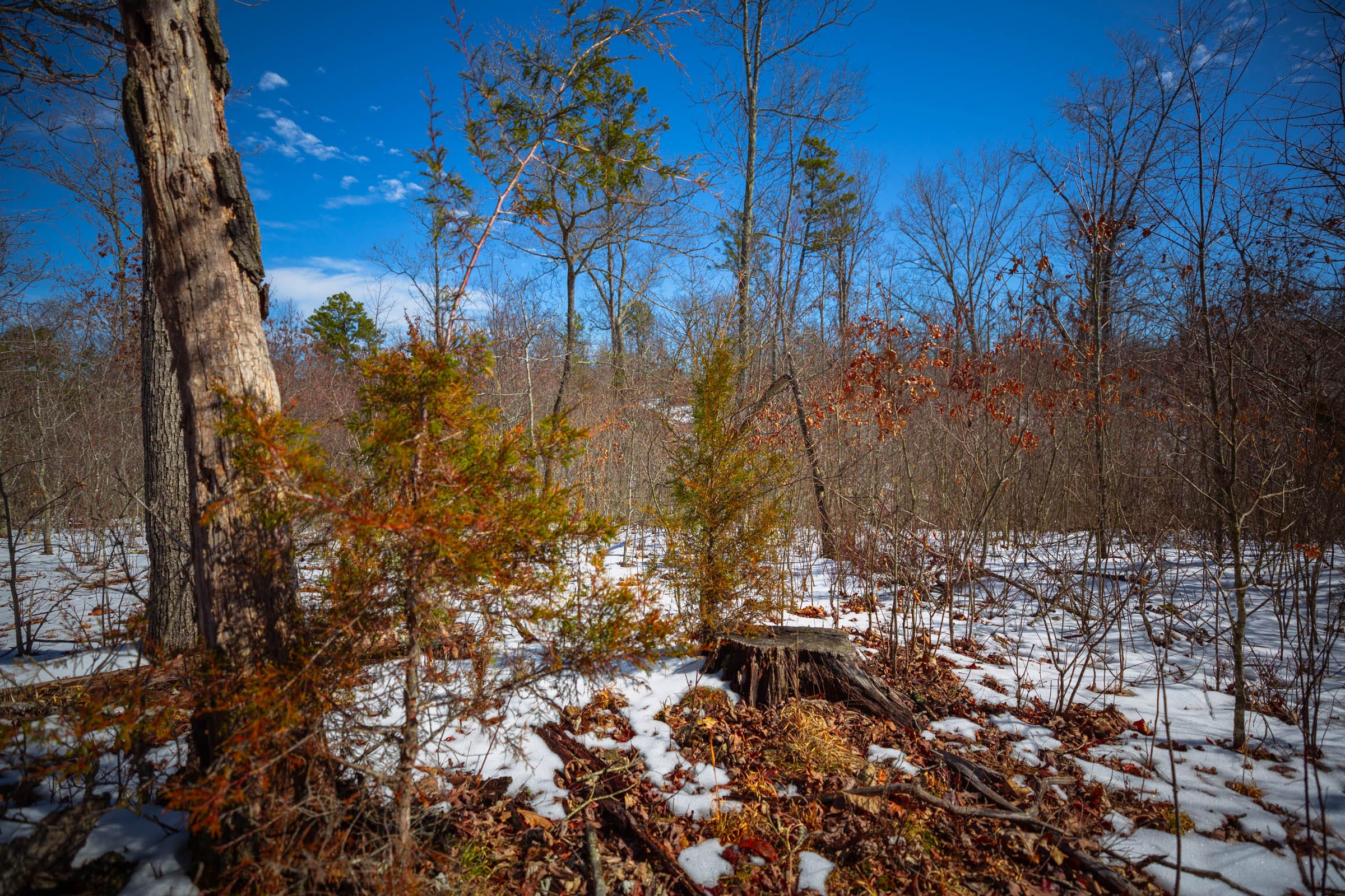 Sleepy Hollow Phase I Tract 34 photo 12