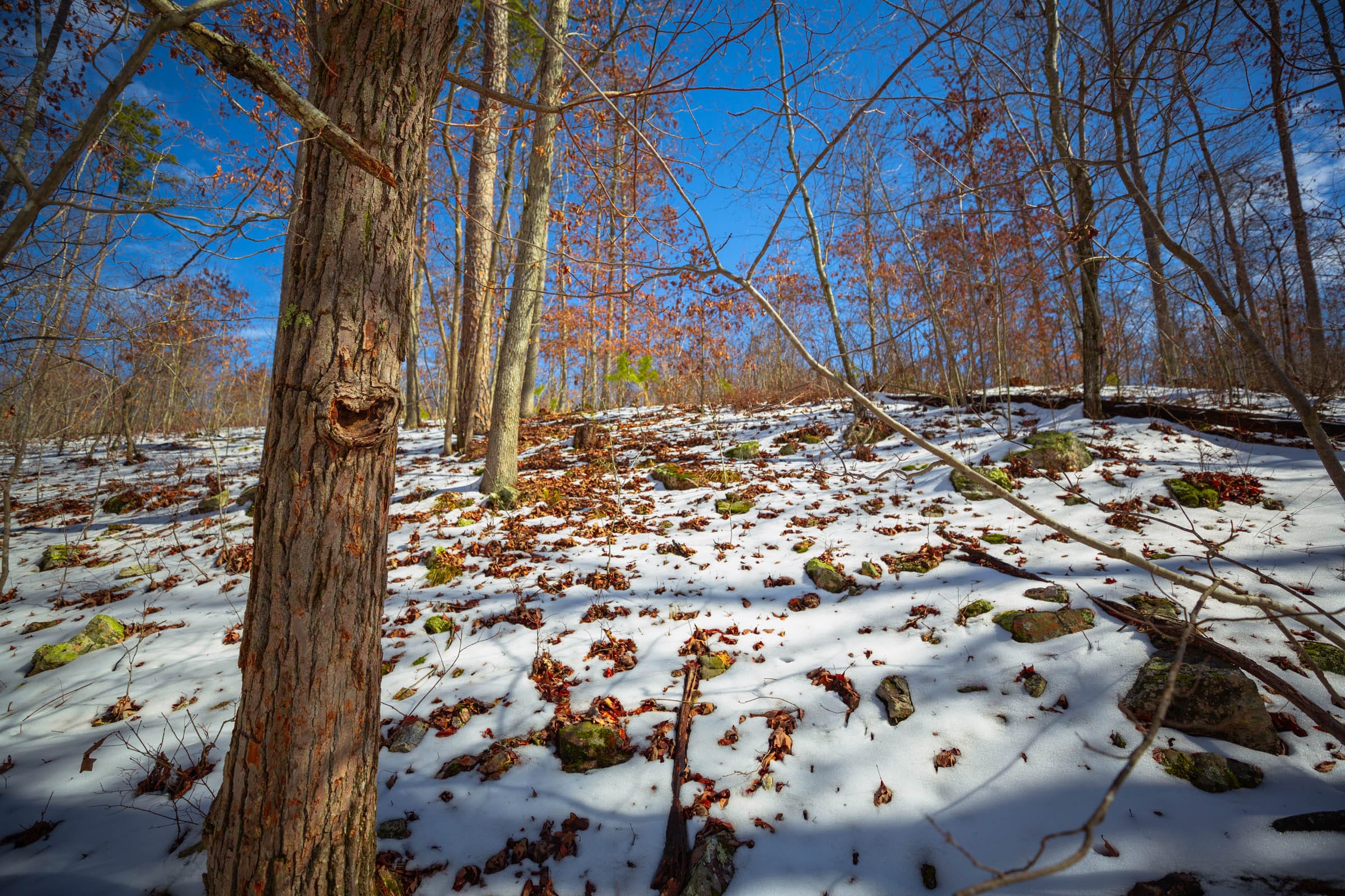 Sleepy Hollow Phase I Tract 34 photo 7