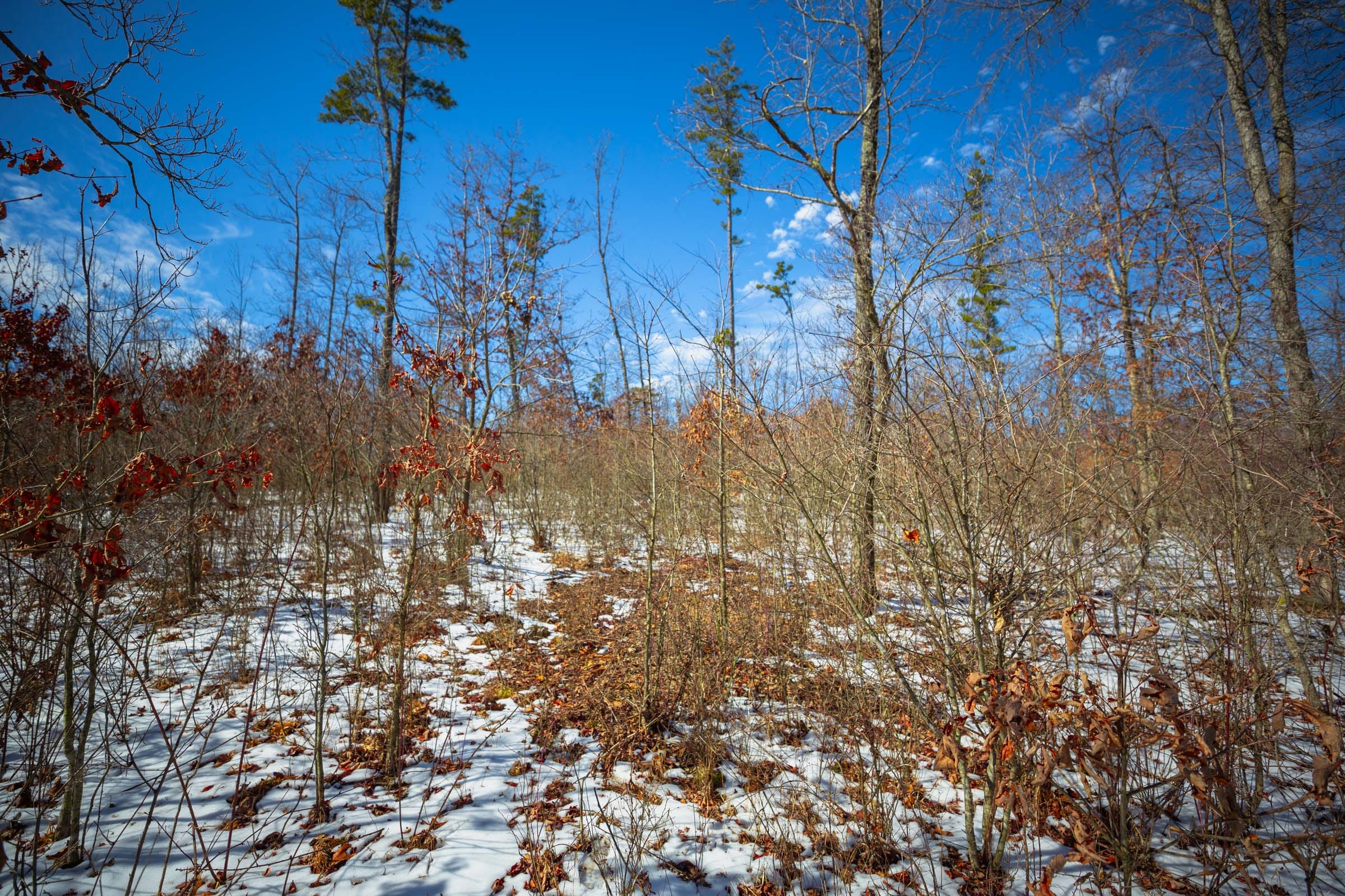Sleepy Hollow Phase I Tract 34 photo 6