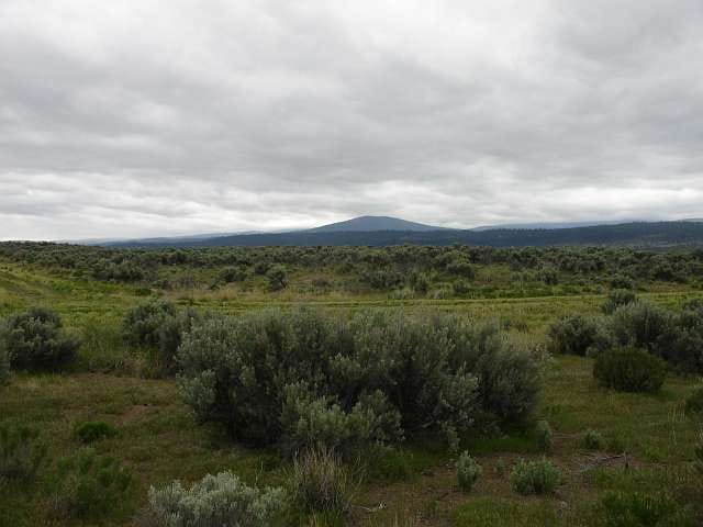California Pines Tract 31 photo 8