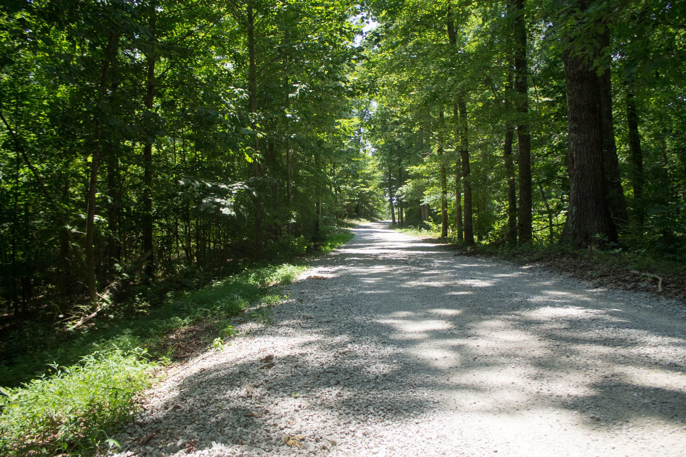 Buck Run Ridge Tract 31 photo 1