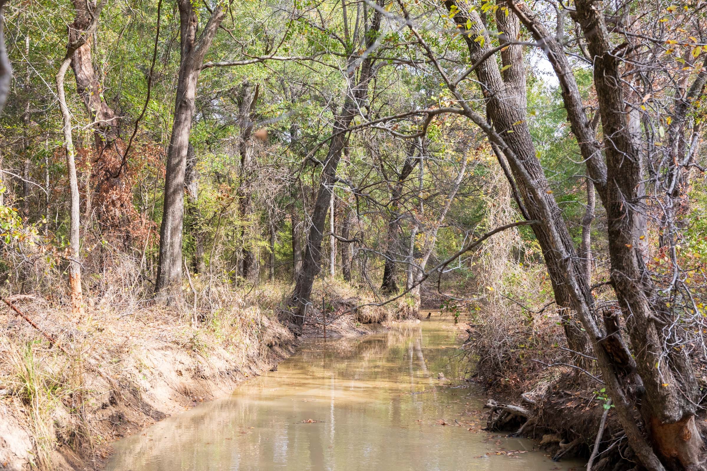 Crystal Springs Tract 11 photo 2
