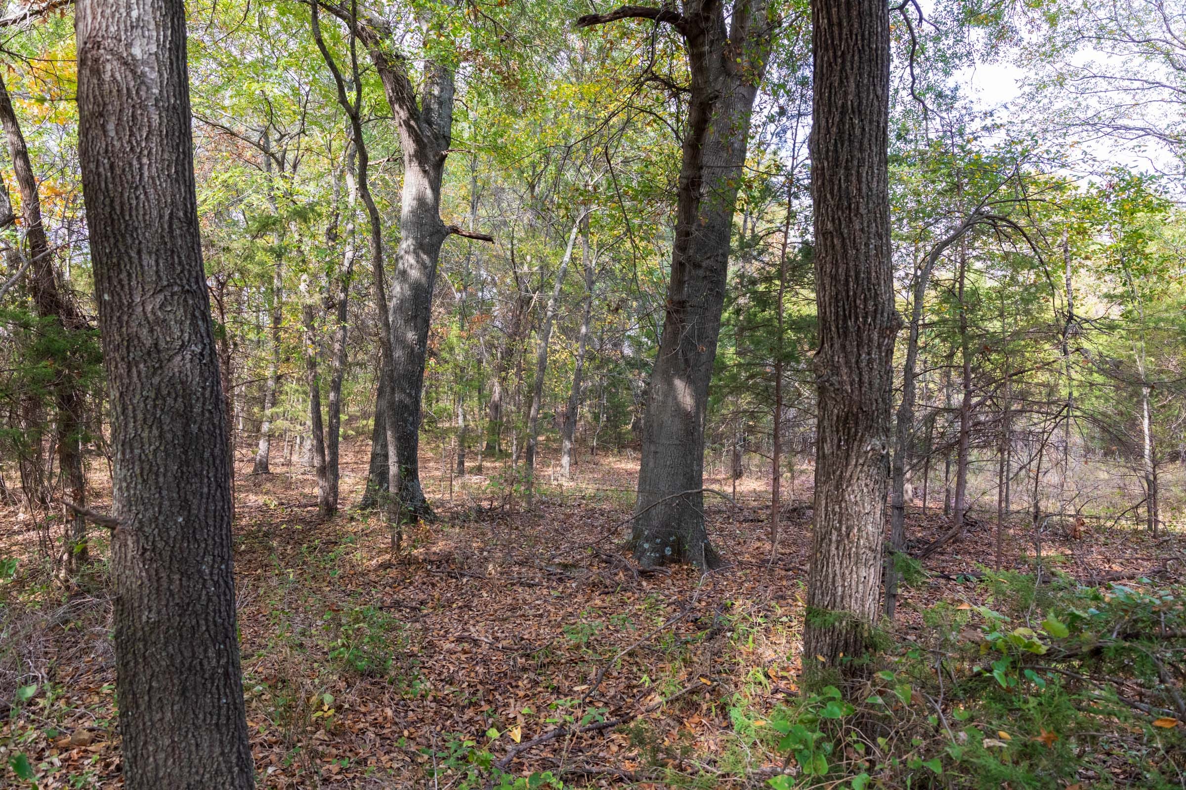 Crystal Springs Tract 11 photo 4