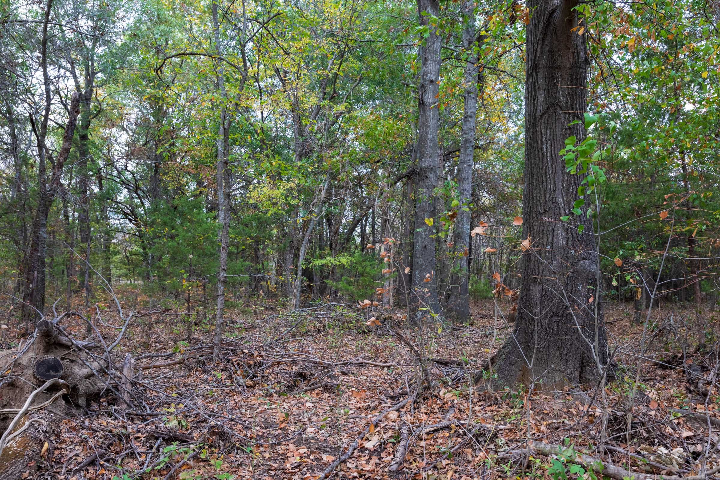 Crystal Springs Tract 11 photo 5