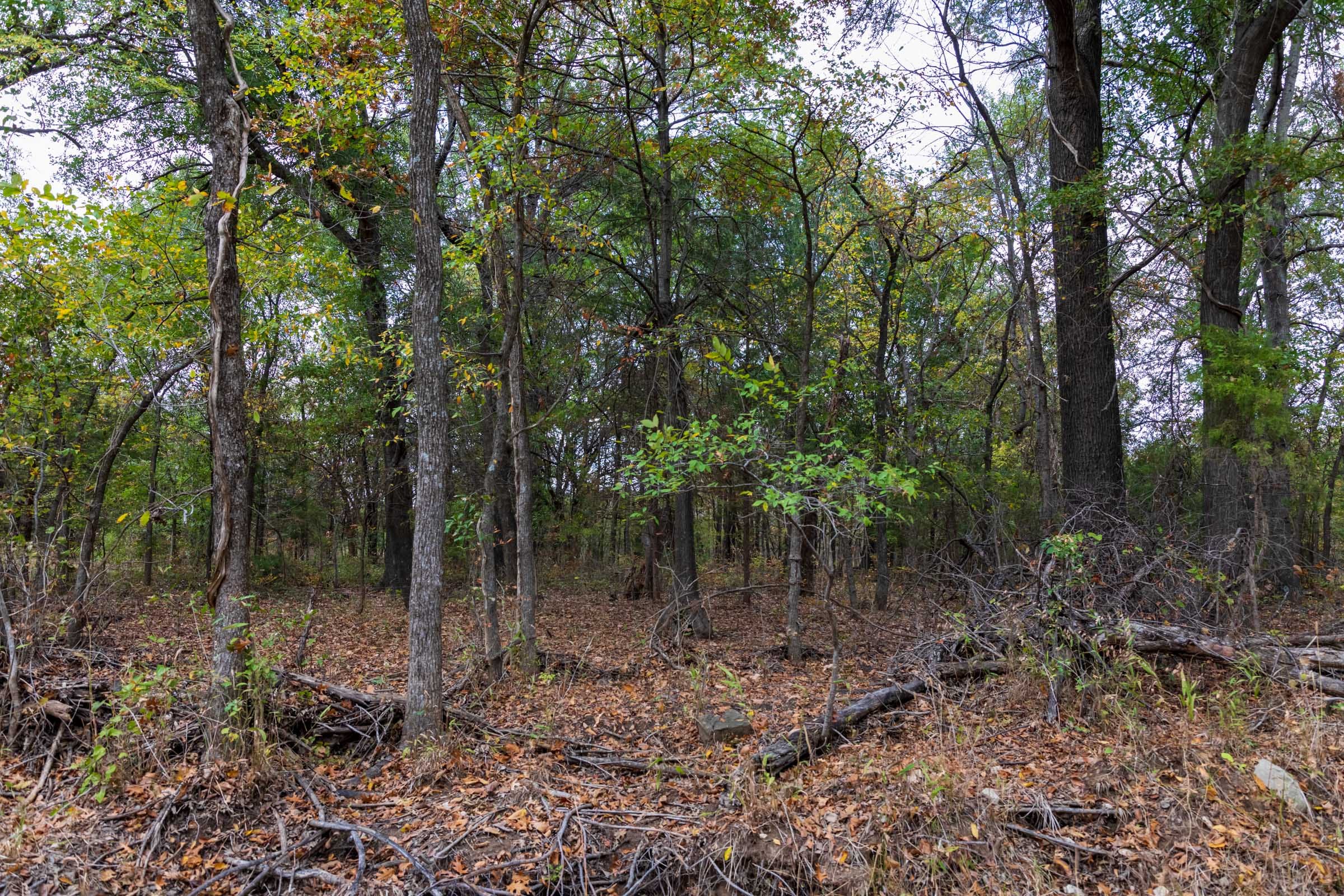 Crystal Springs Tract 11 photo 6