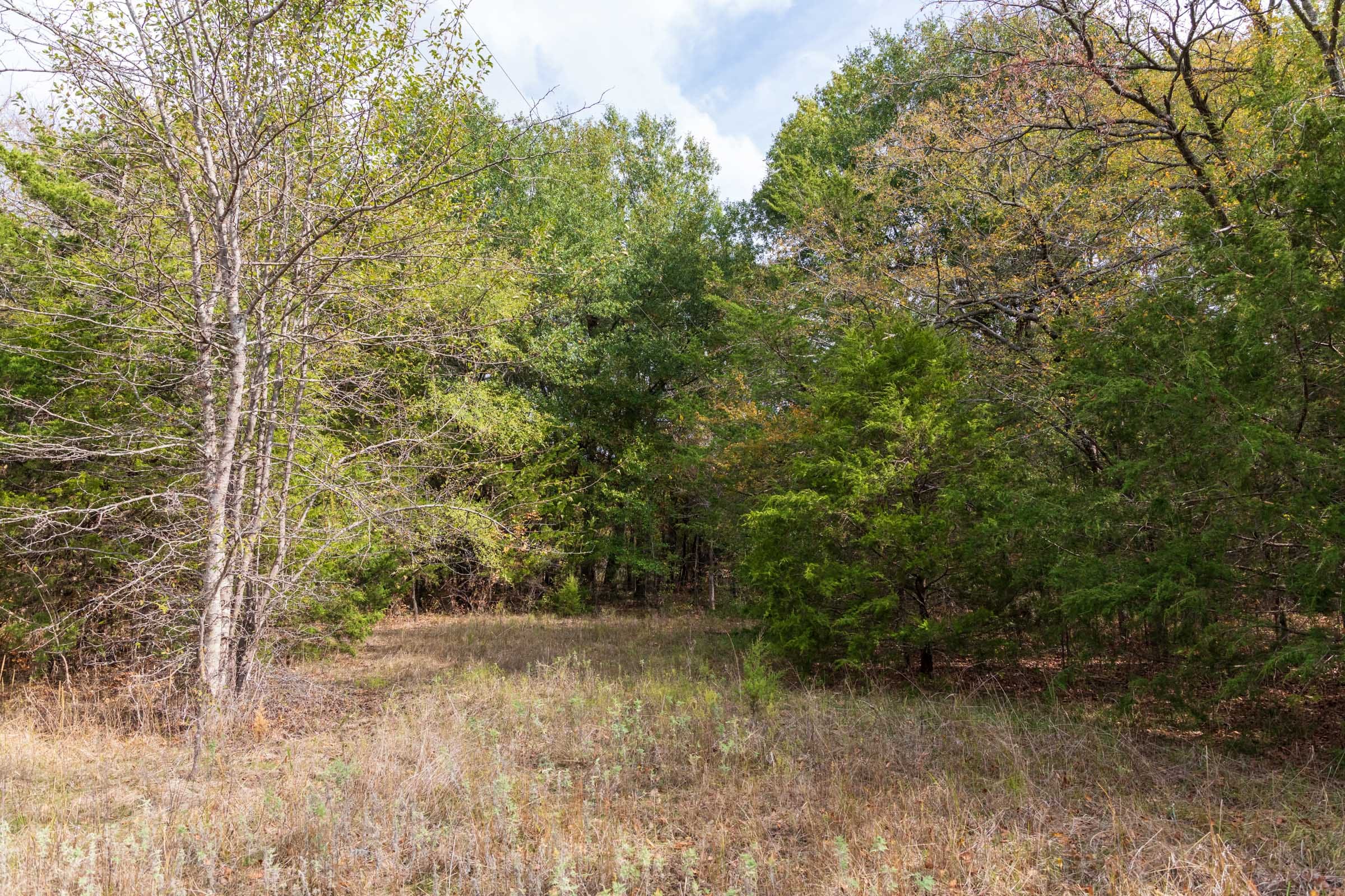 Crystal Springs Tract 11 photo 8