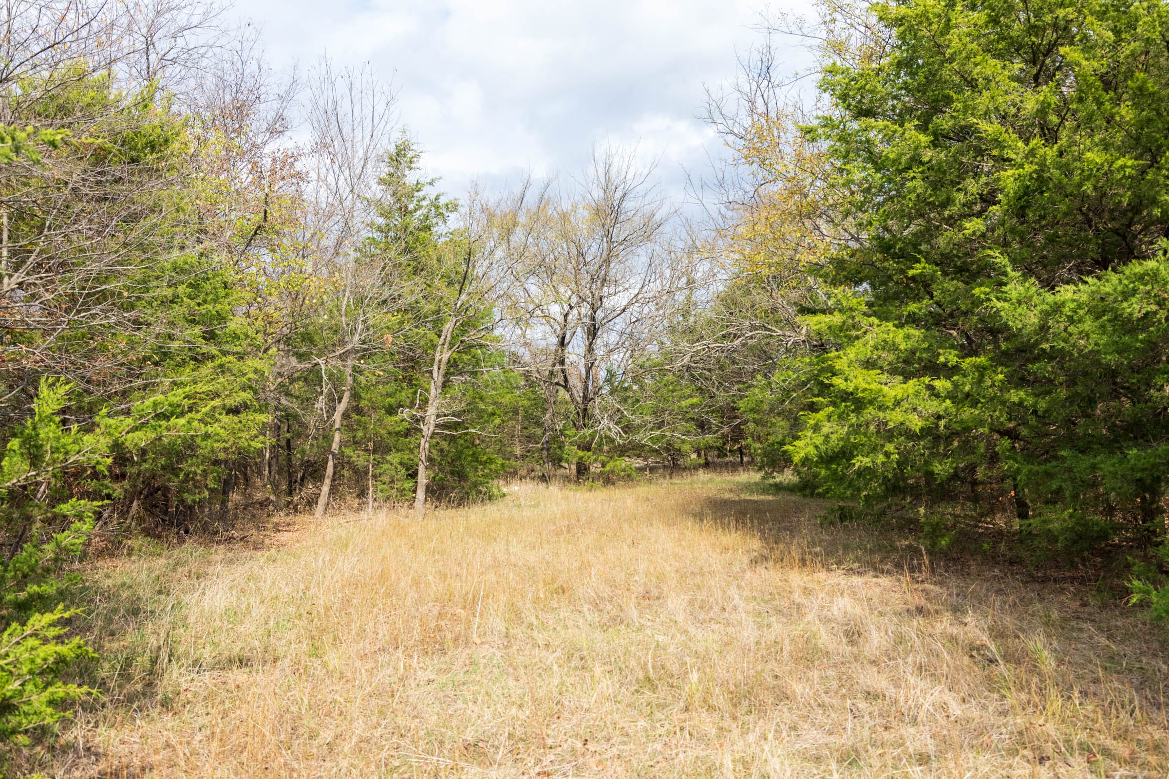 Crystal Springs Tract 11 photo 9