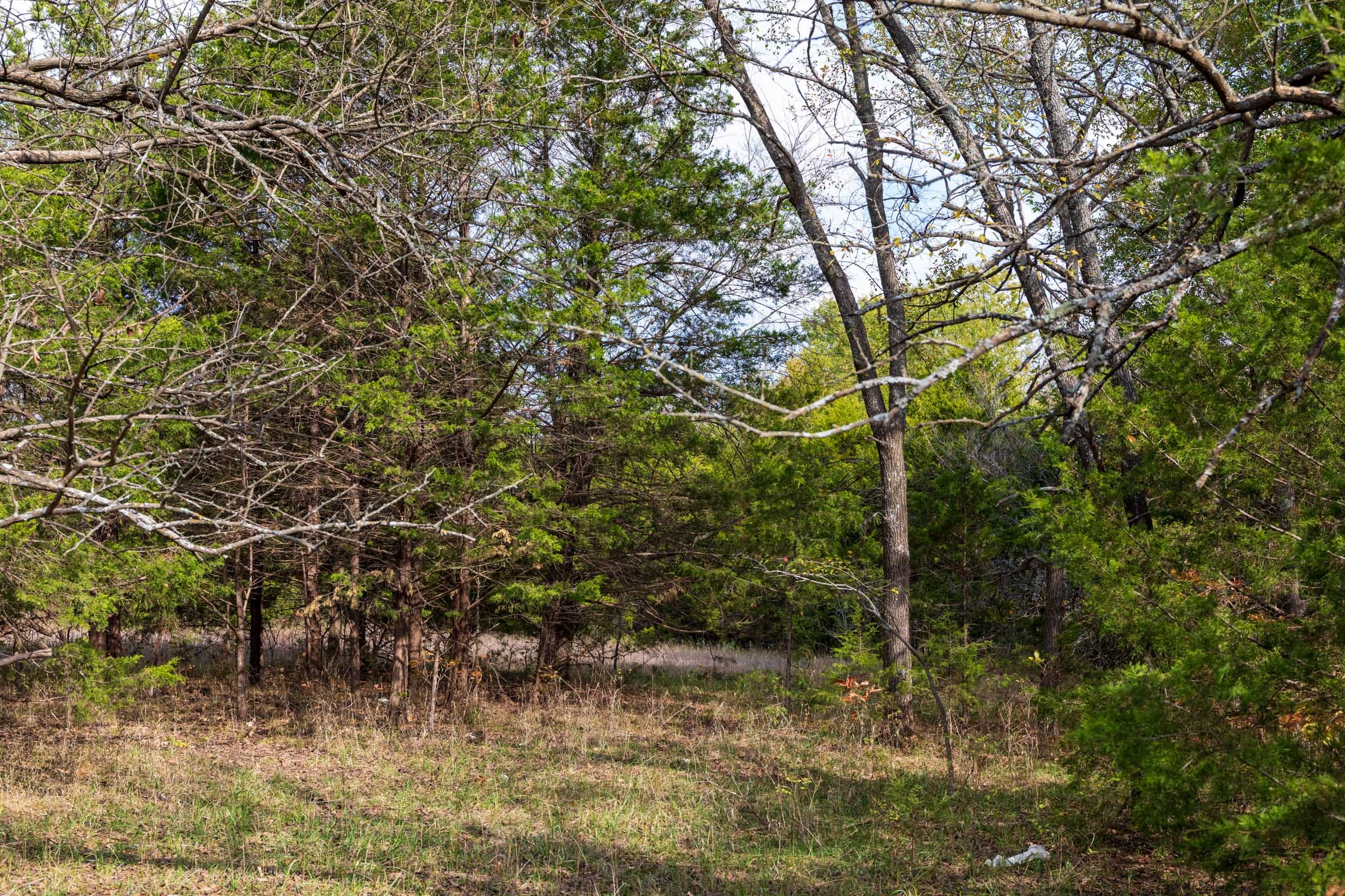 Crystal Springs Tract 11 photo 10