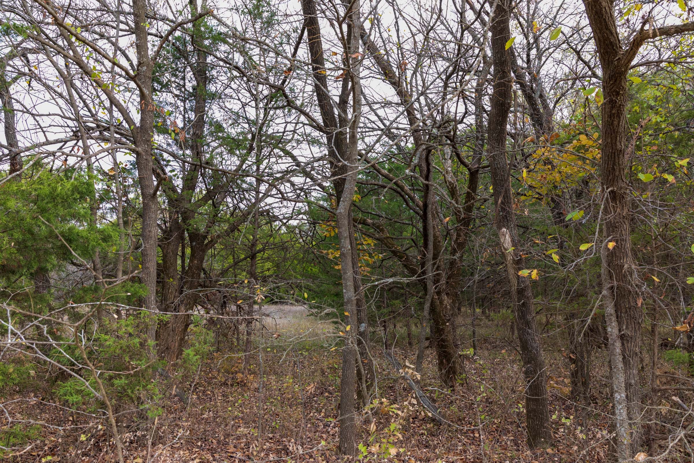 Crystal Springs Tract 11 photo 11