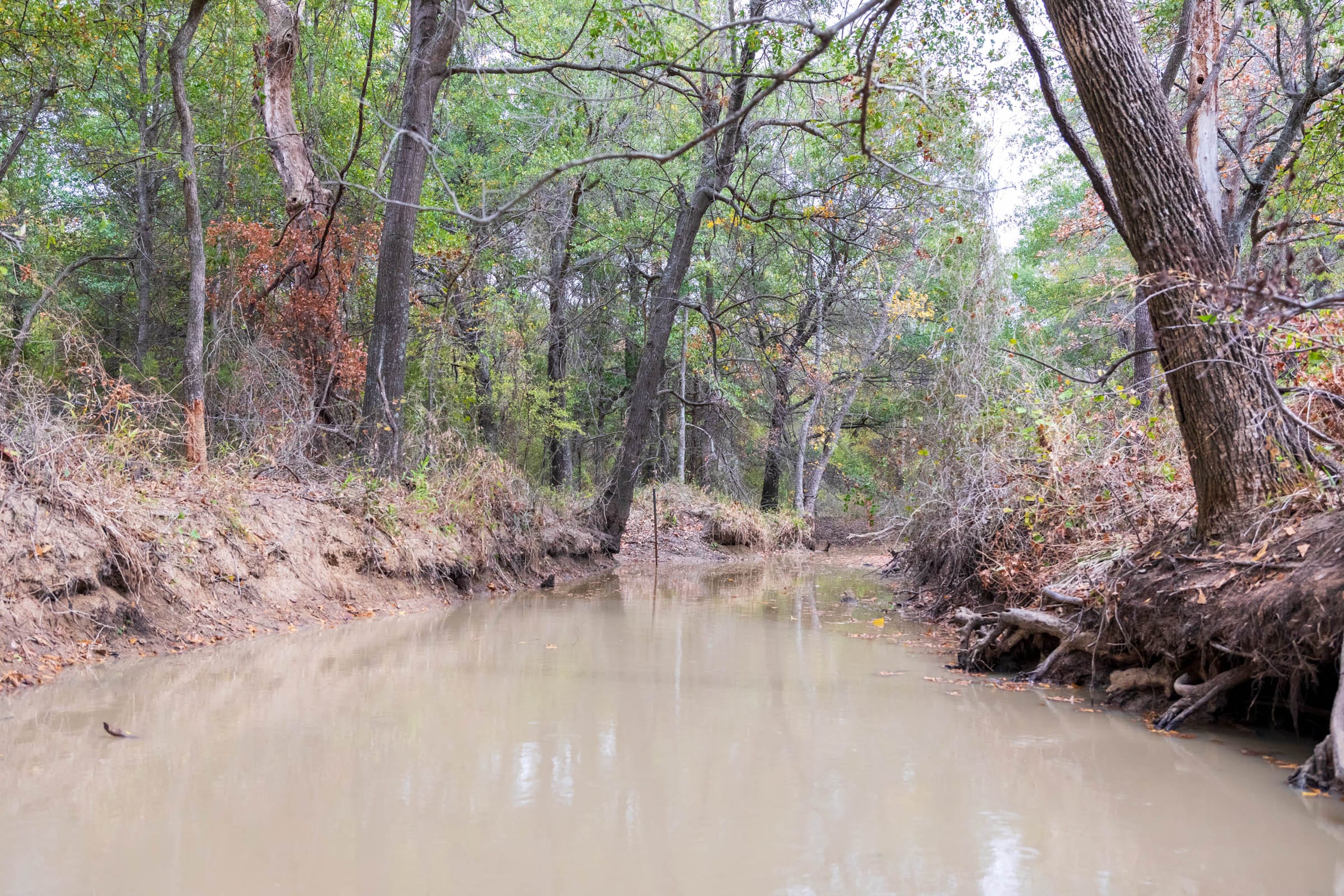 Crystal Springs Tract 11 photo 13