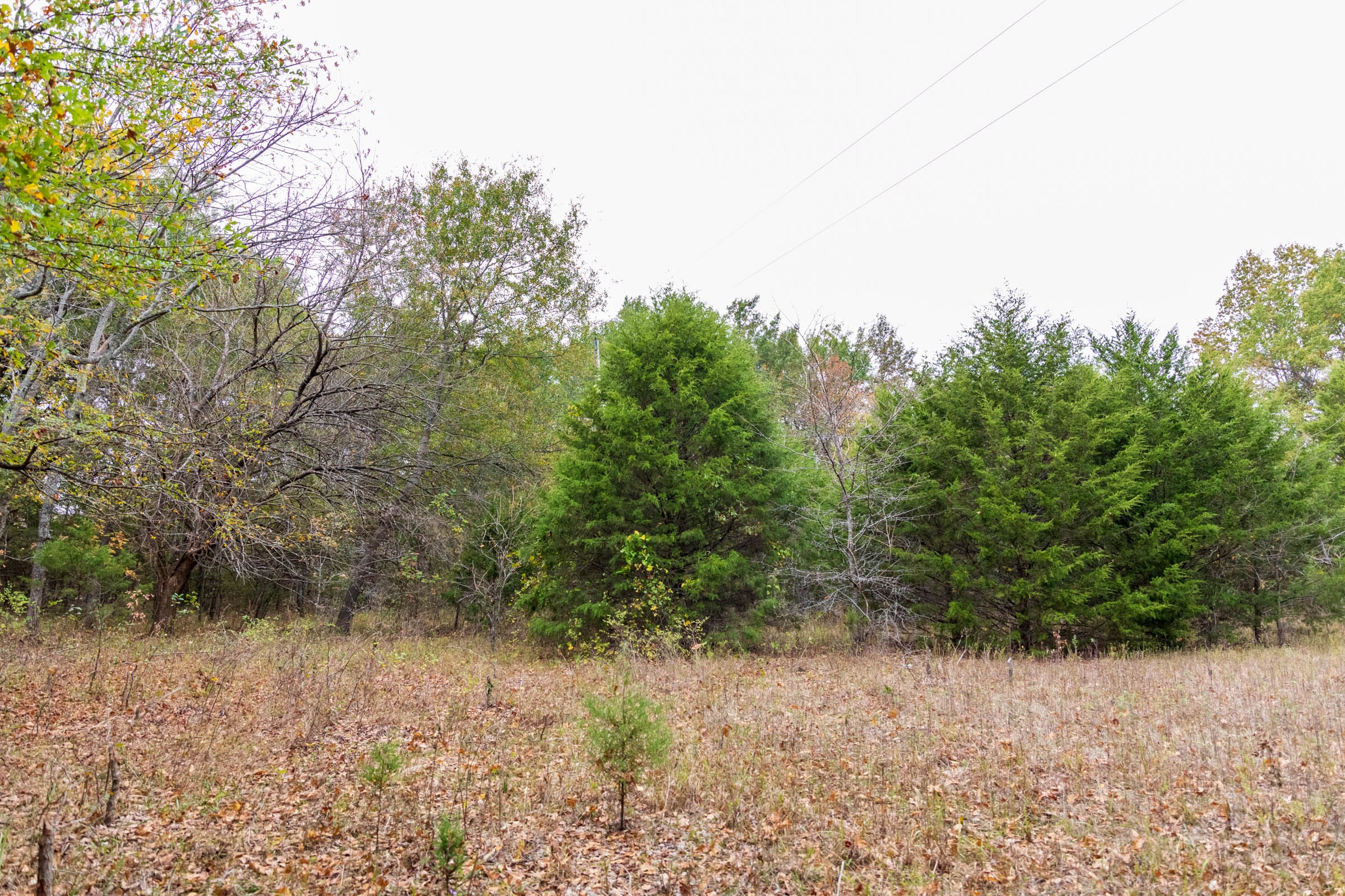 Crystal Springs Tract 11 photo 14