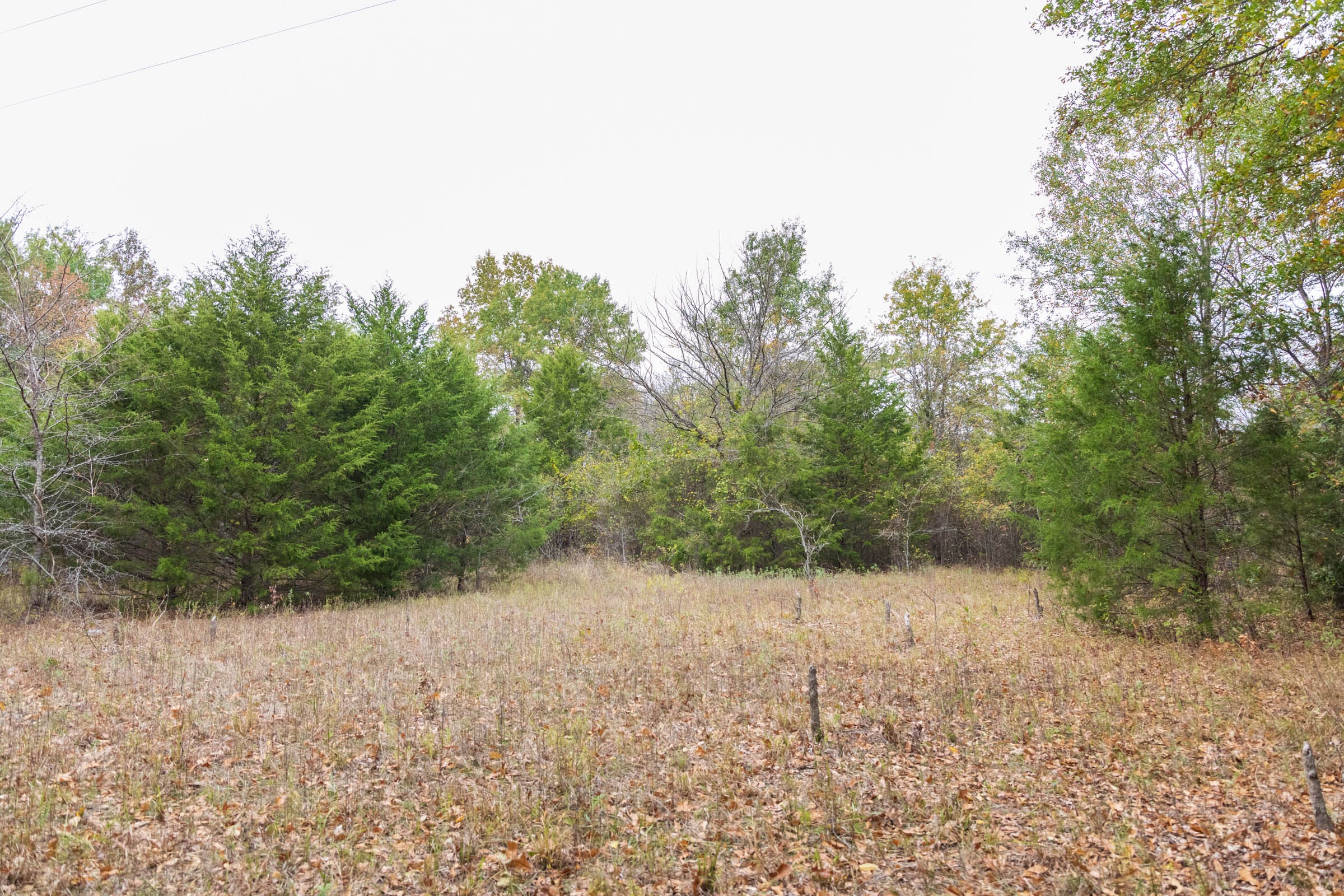 Crystal Springs Tract 11 photo 15