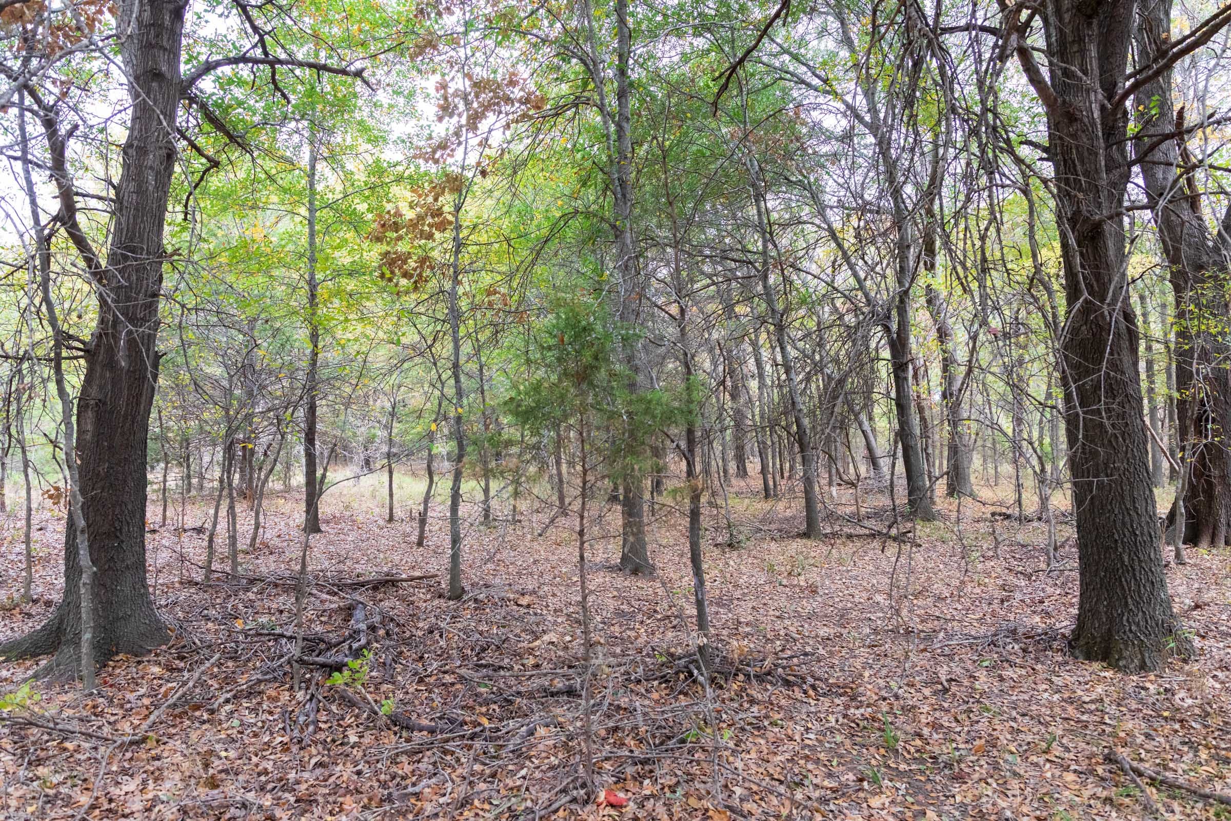 Crystal Springs Tract 11 photo 17