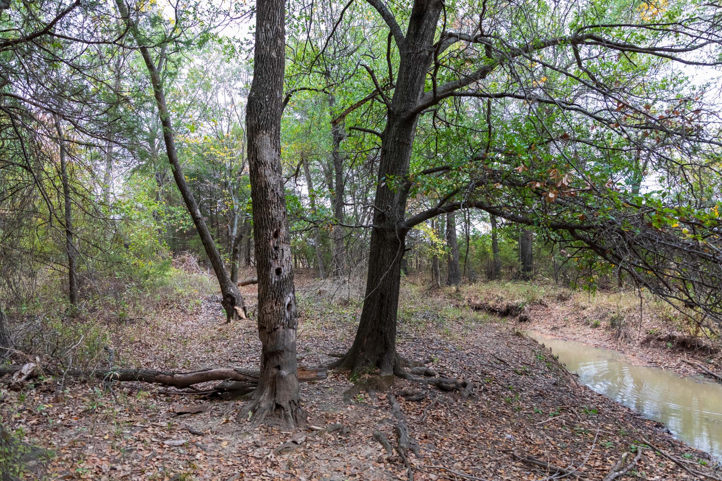 Crystal Springs Tract 11 photo 18
